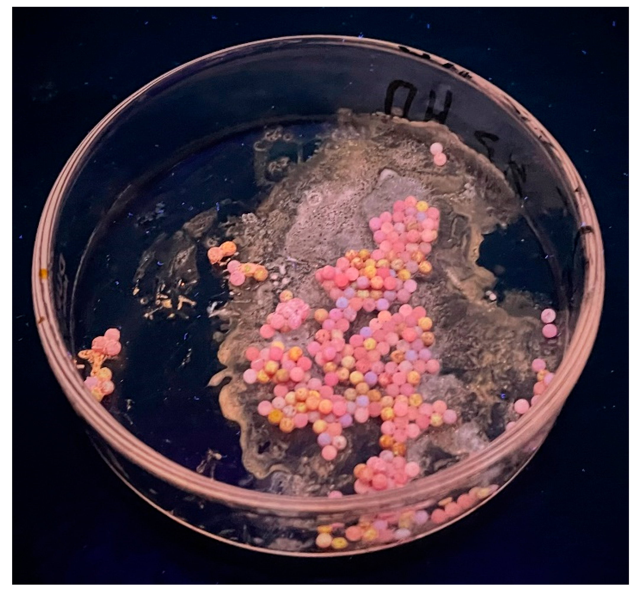 Engproc 37 00018 g003