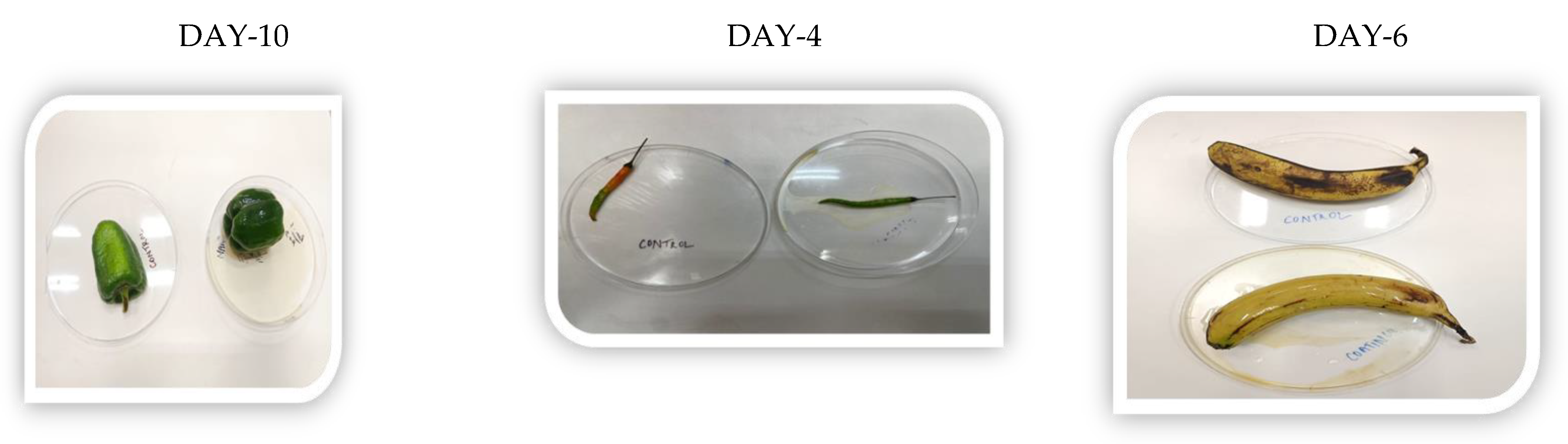 Engproc 37 00021 g005