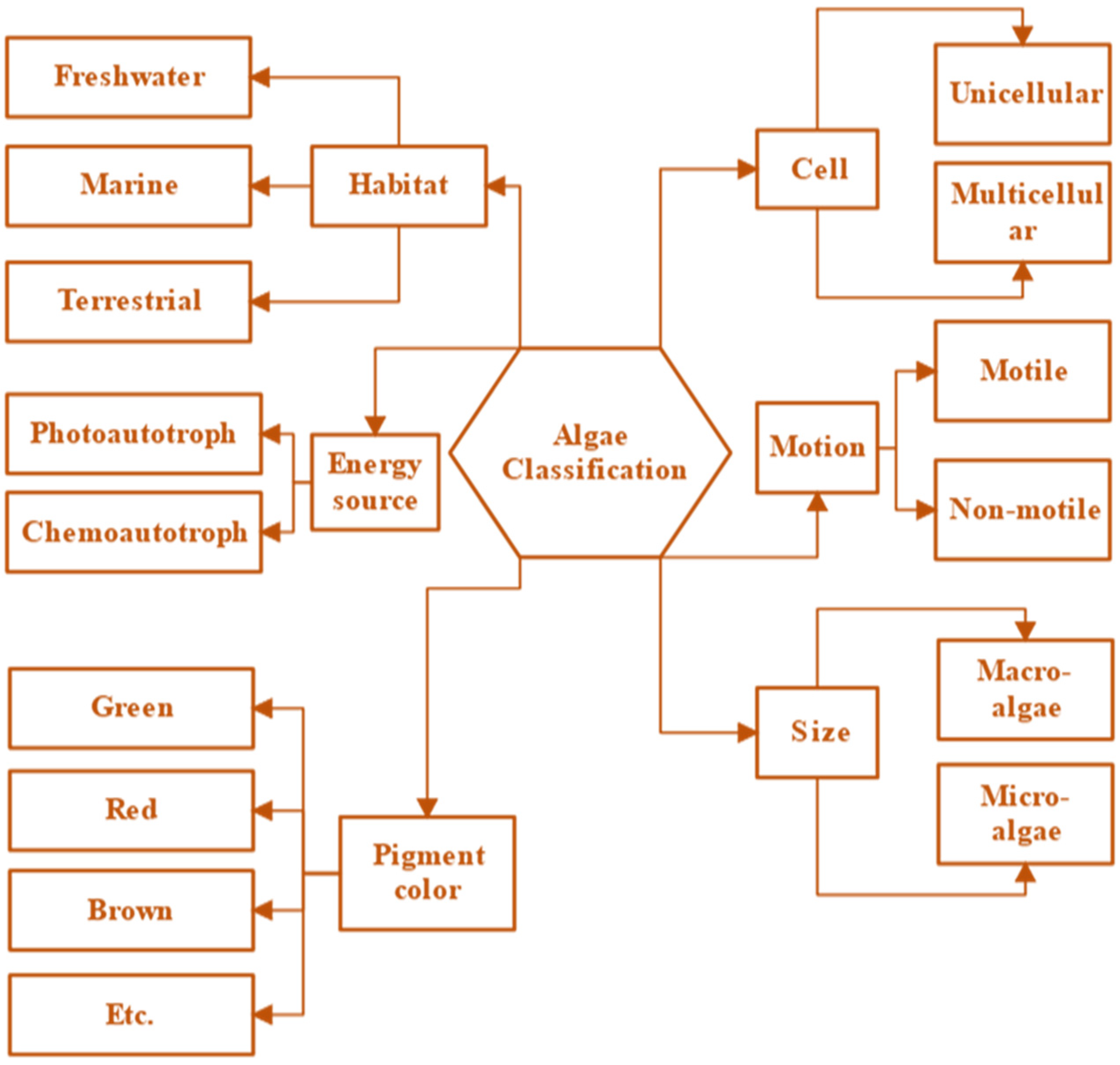 Engproc 37 00022 g001
