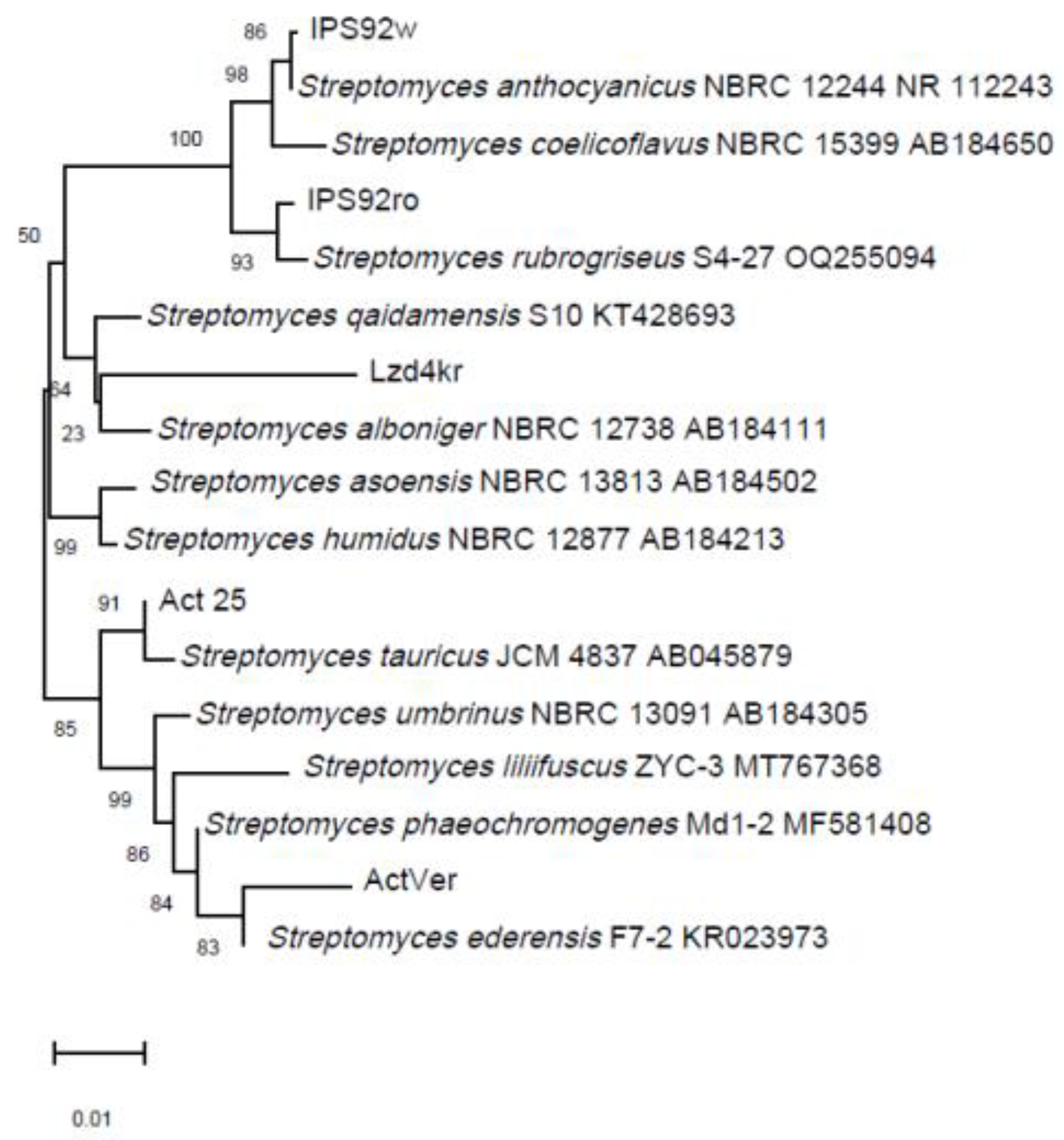 Engproc 37 00035 g002