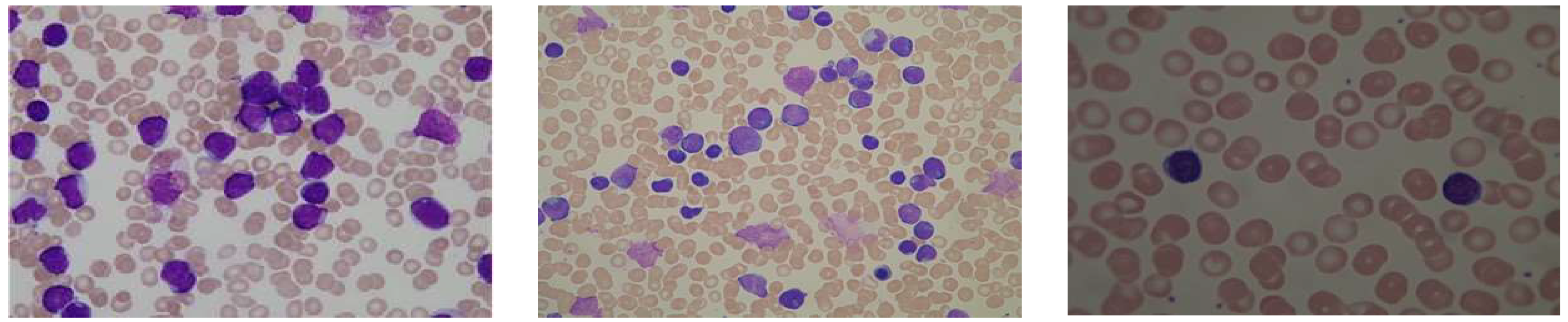 Engproc 37 00036 g002