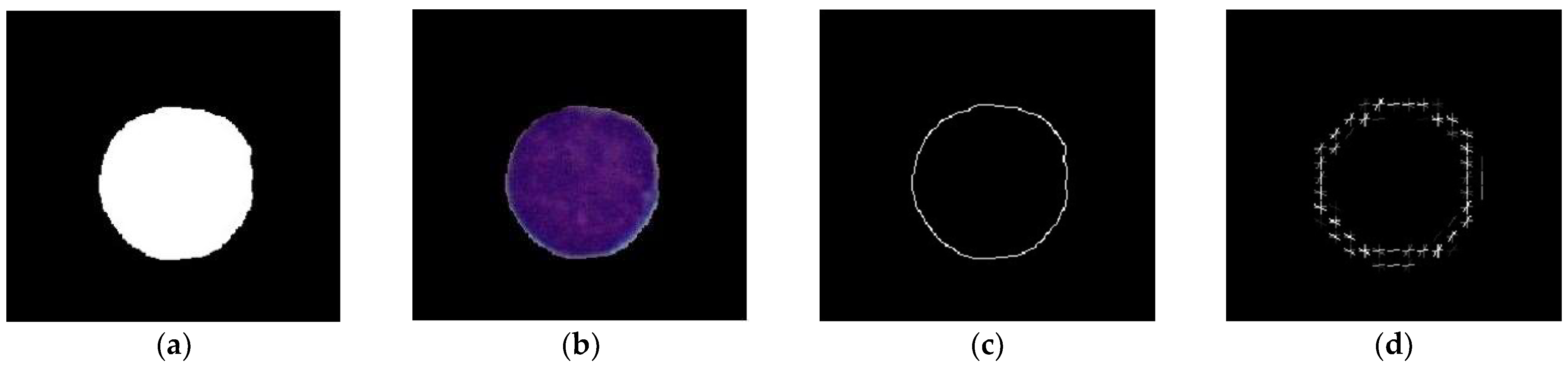 Engproc 37 00036 g003