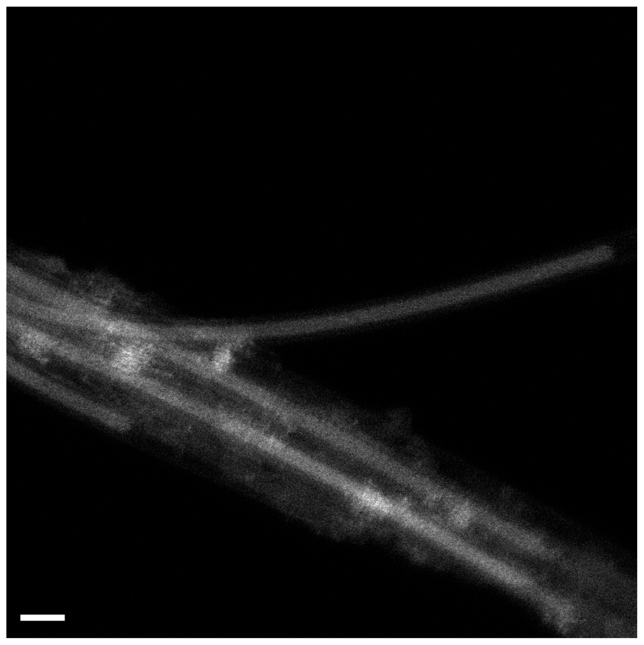 Engproc 37 00046 g001