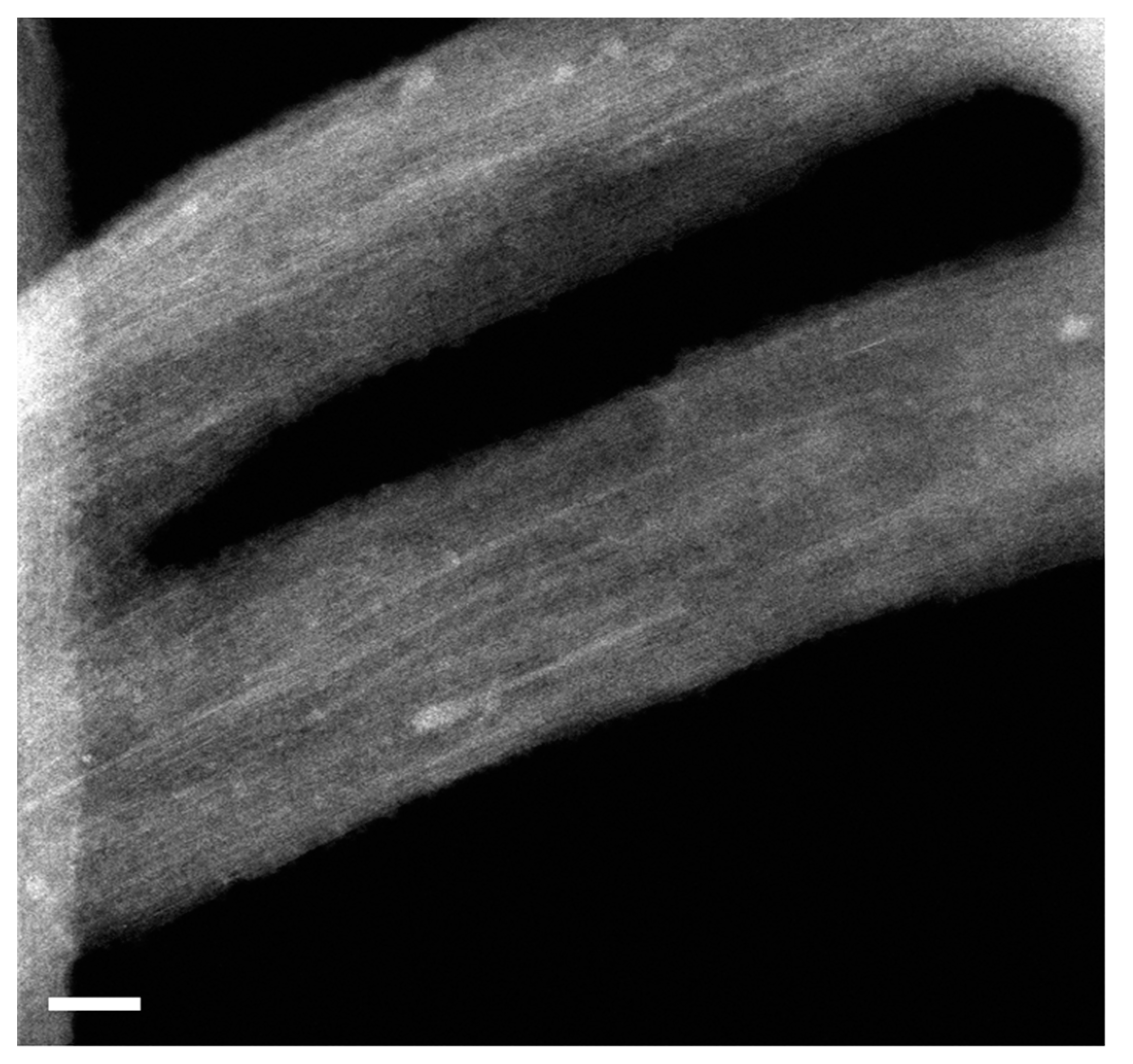 Engproc 37 00049 g003