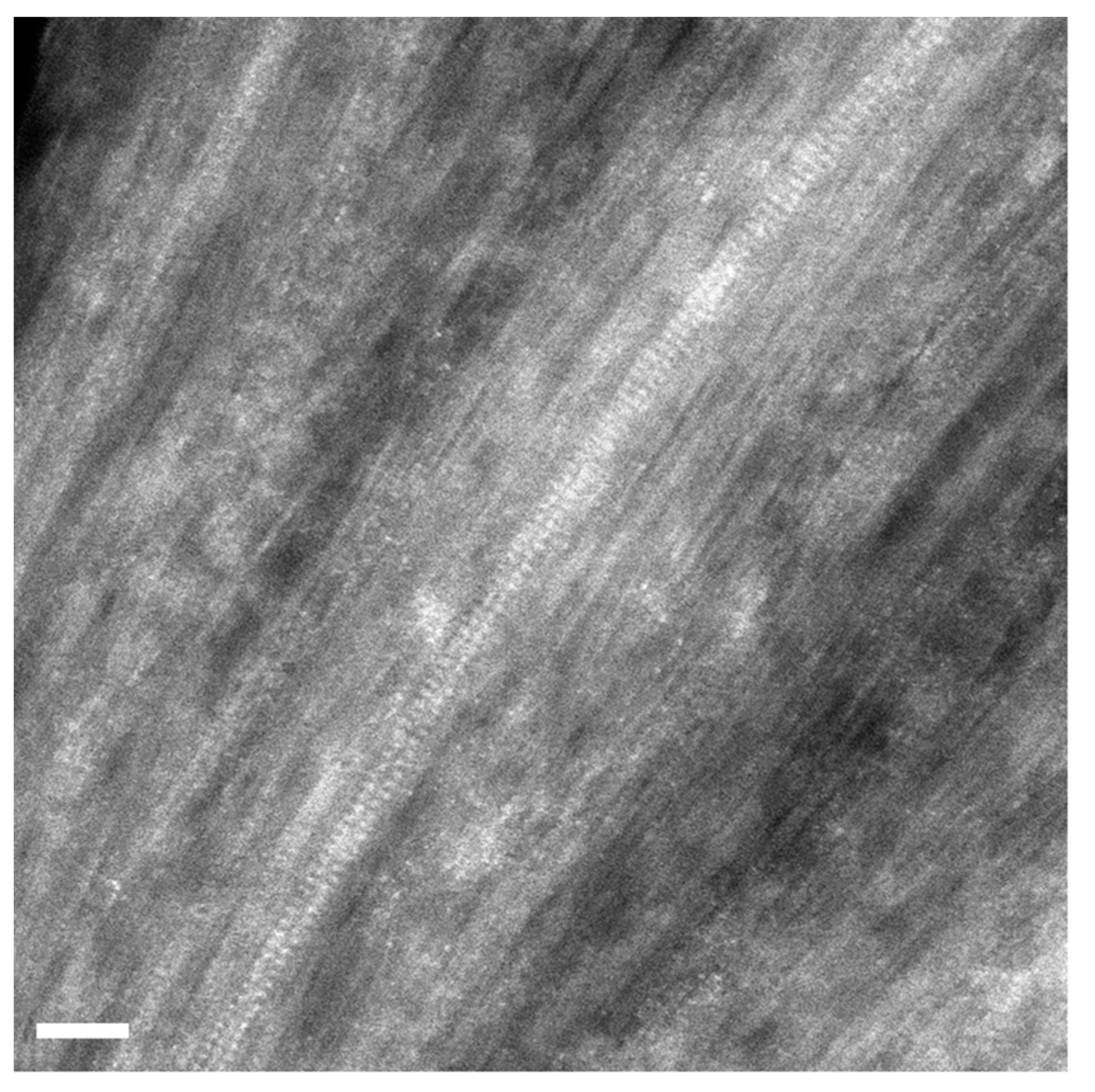 Engproc 37 00049 g004