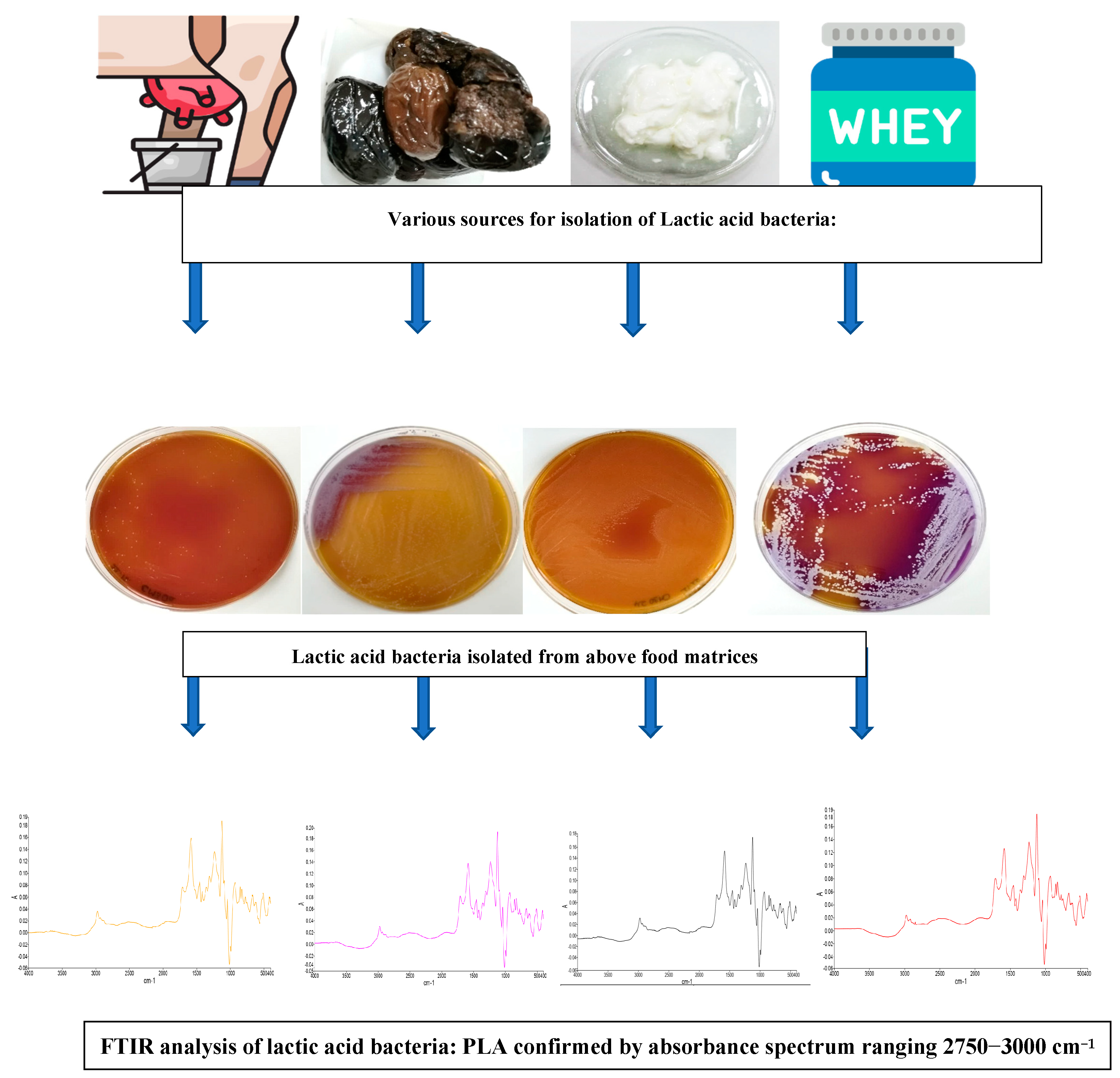 Engproc 37 00088 g001