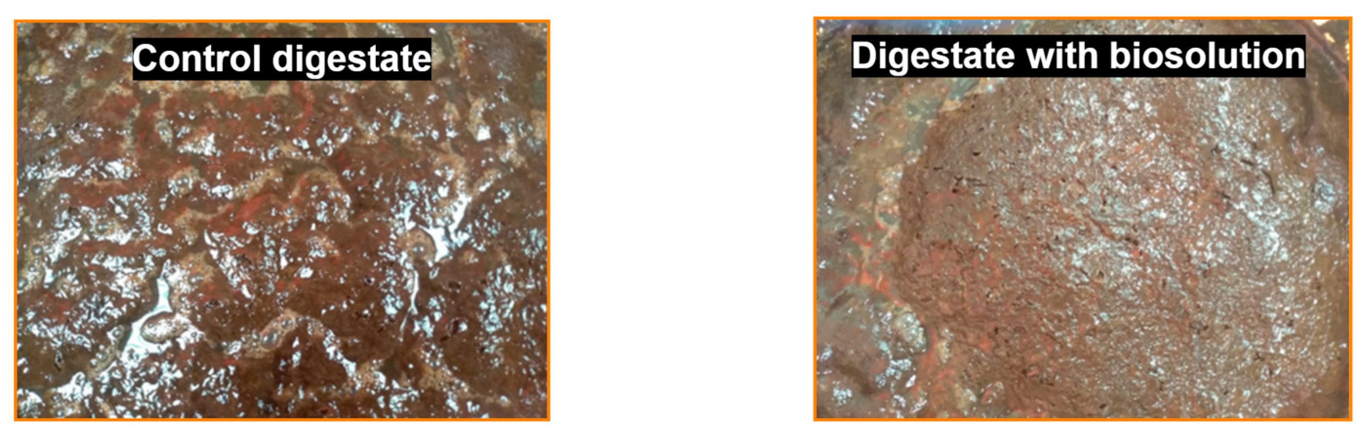 Engproc 37 00095 g001