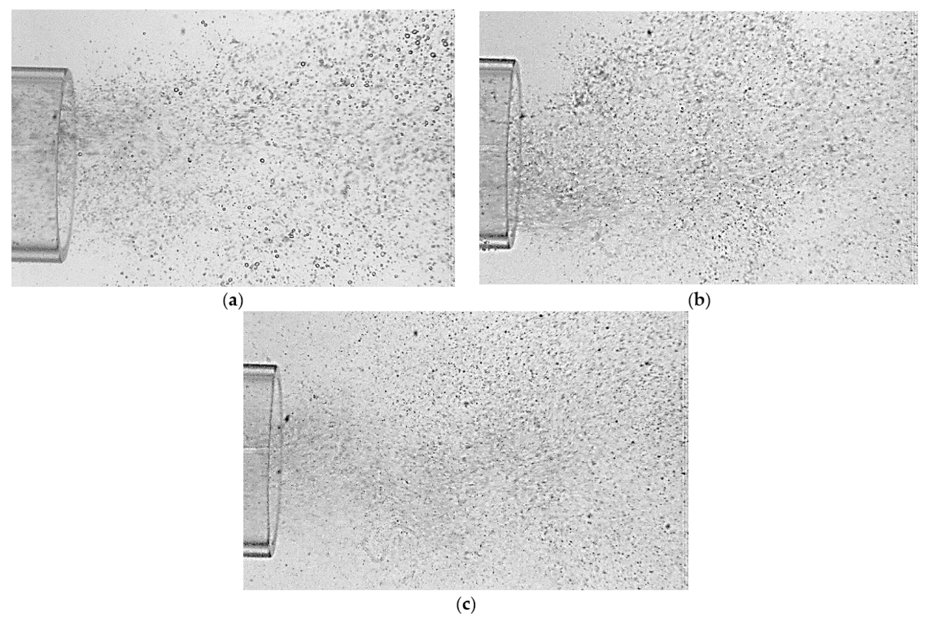 Engproc 37 00116 g003