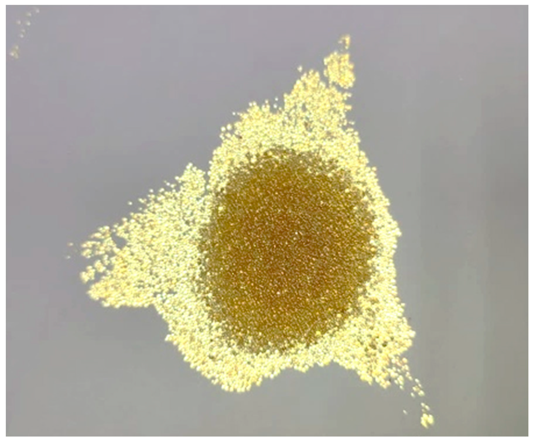 Engproc 38 00067 g003