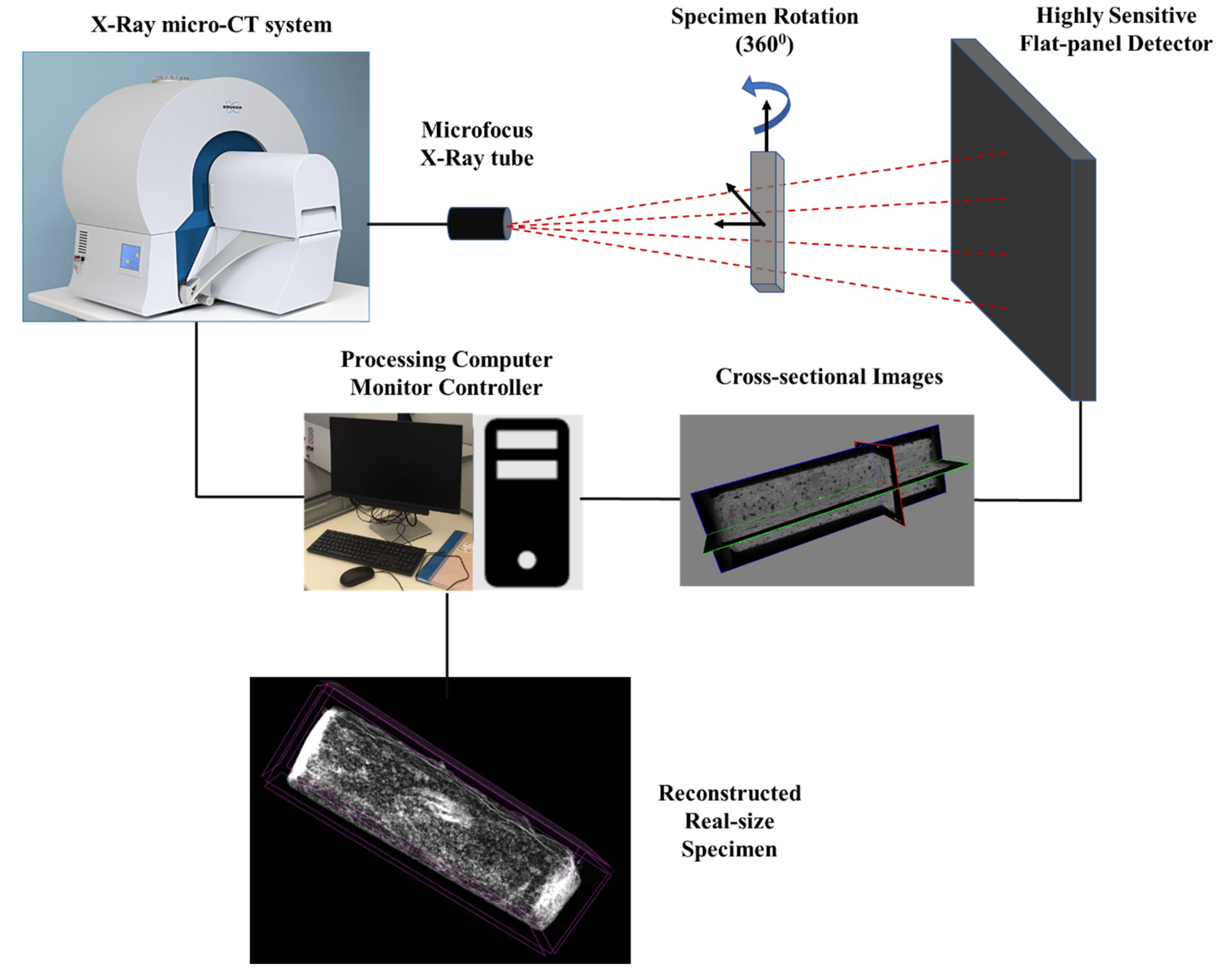 Engproc 41 00004 g001