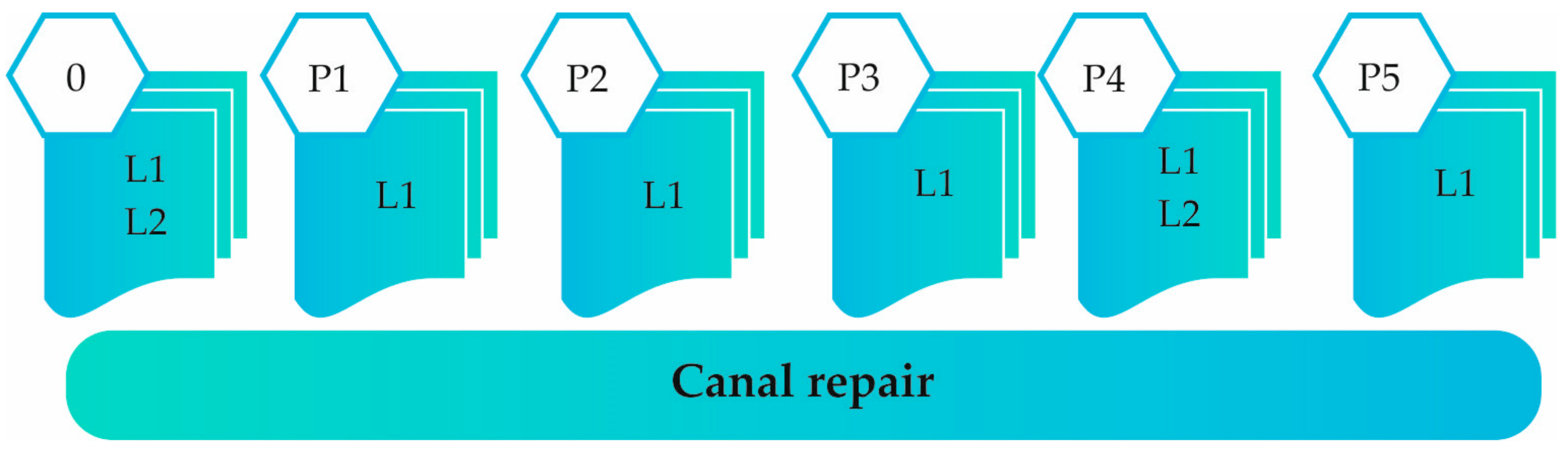 Engproc 41 00009 g005