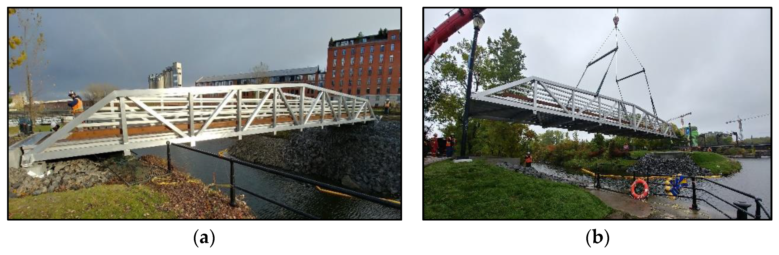 Engproc 43 00013 g001