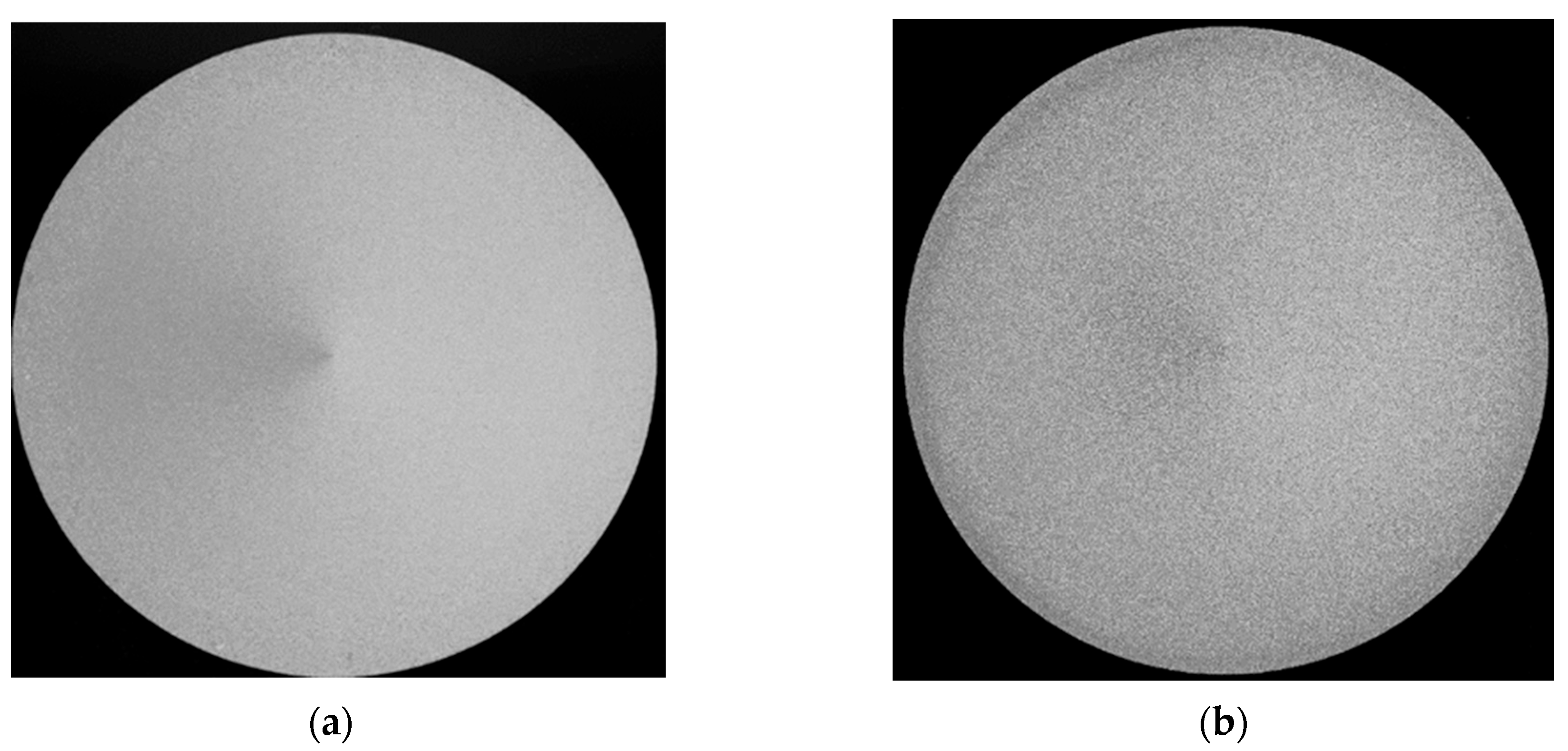 Engproc 43 00023 g003