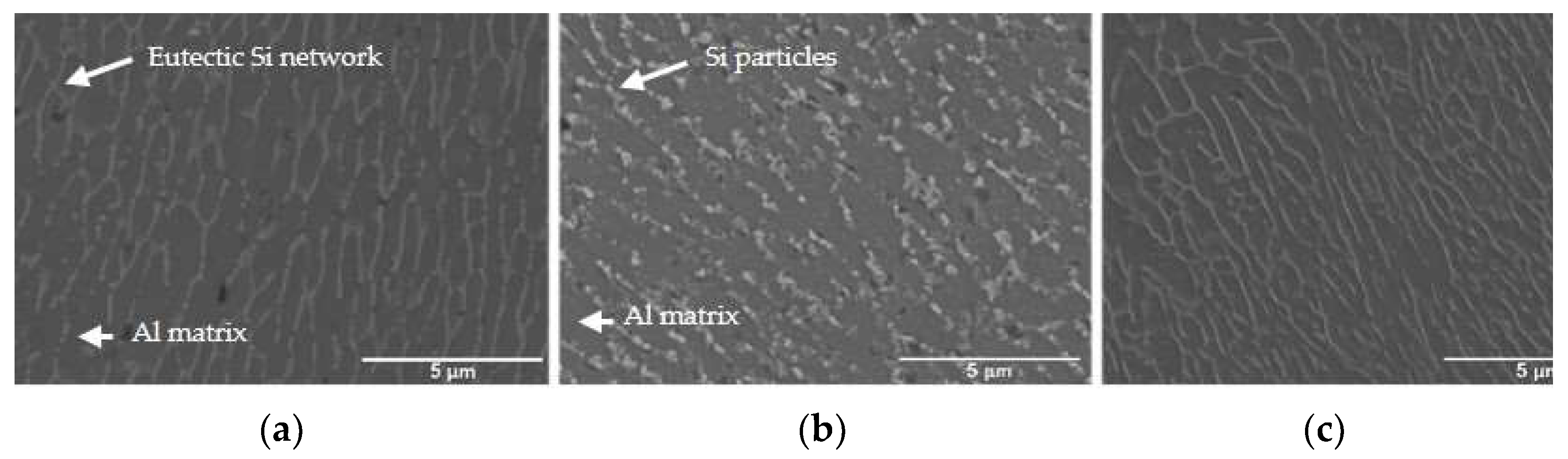 Engproc 43 00041 g005