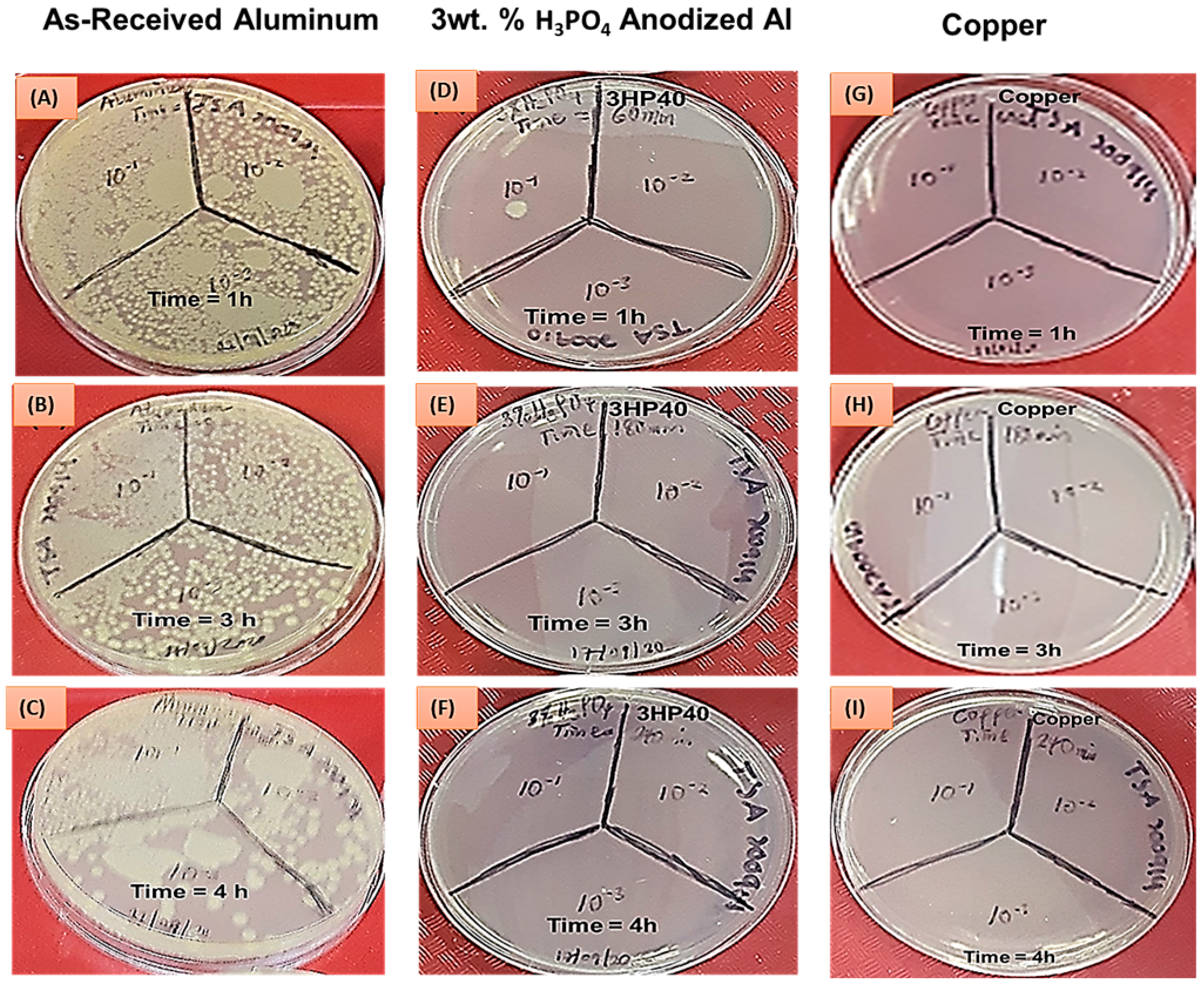 Engproc 43 00049 g001
