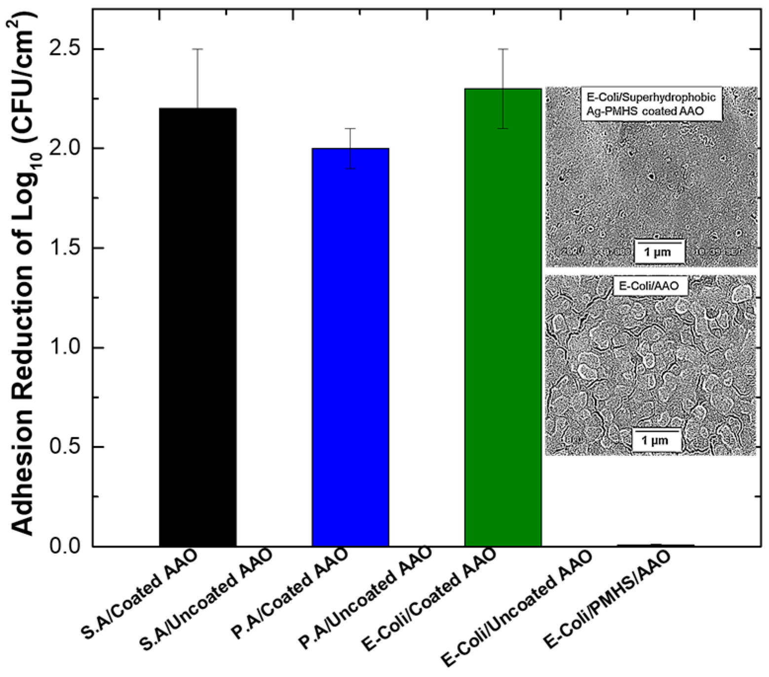 Engproc 43 00049 g004