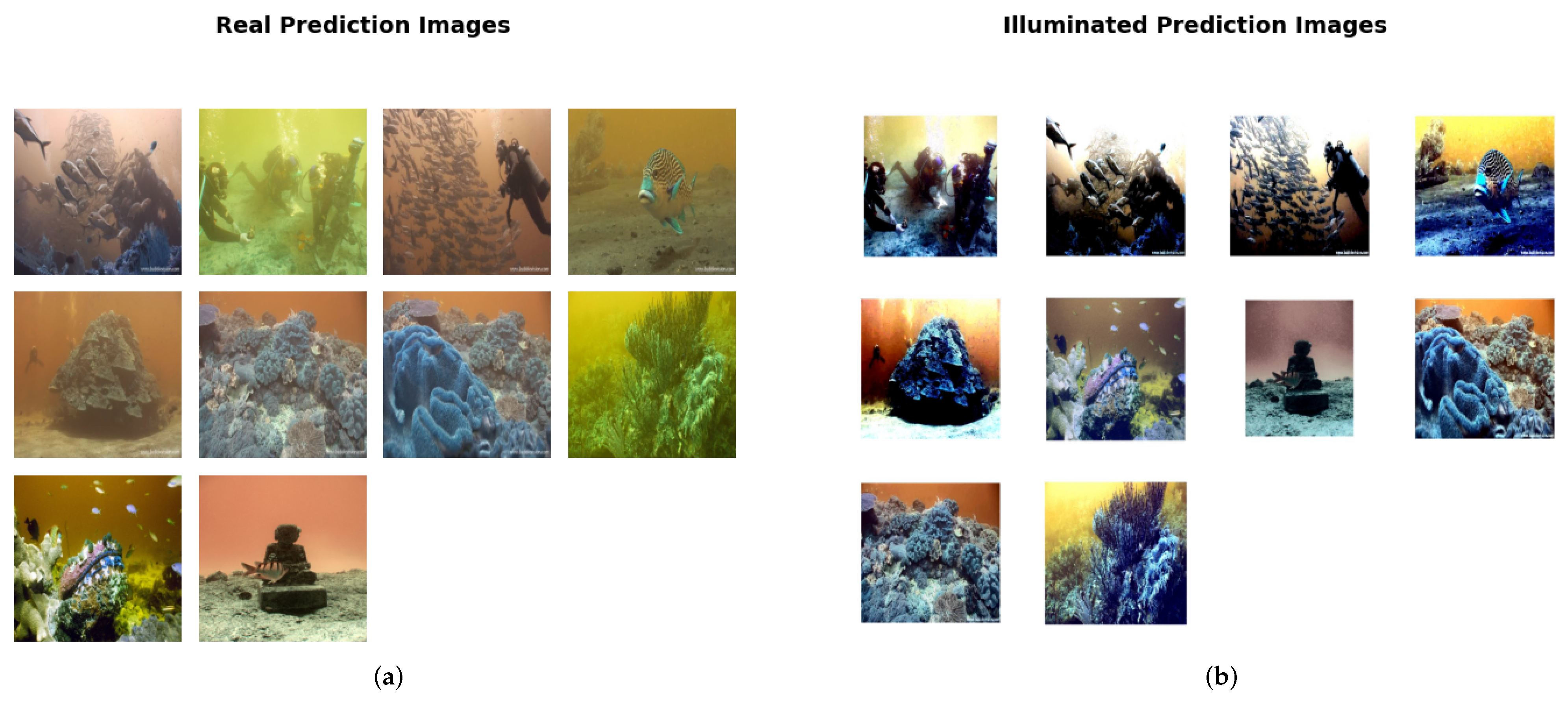 Engproc 46 00014 g002