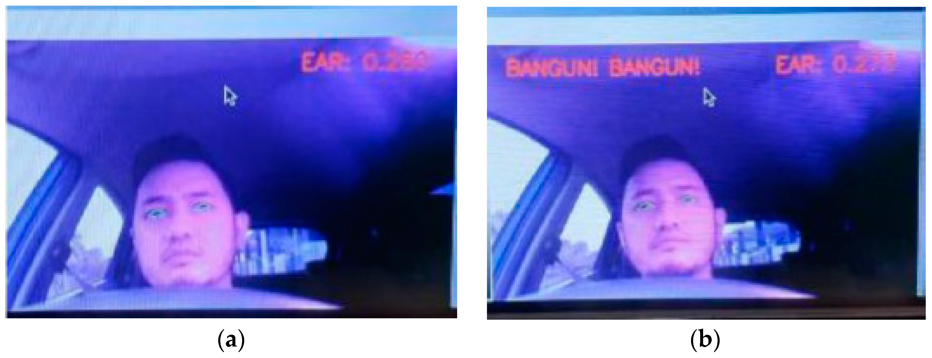 Engproc 46 00039 g006