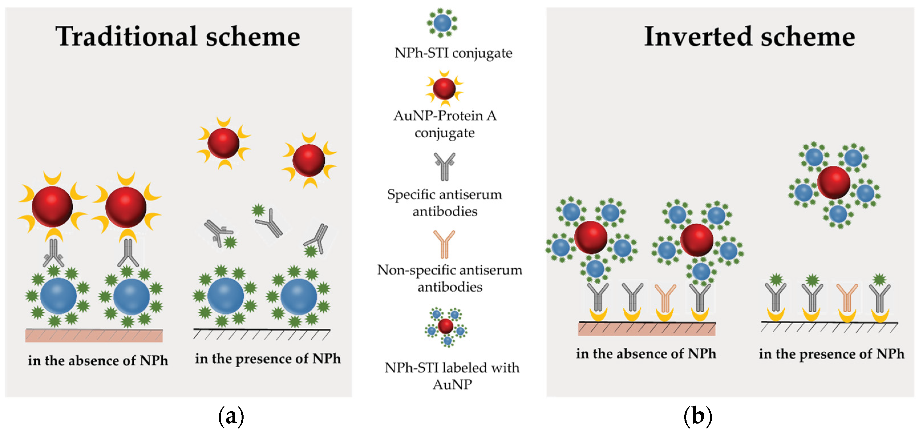 Engproc 48 00009 g002