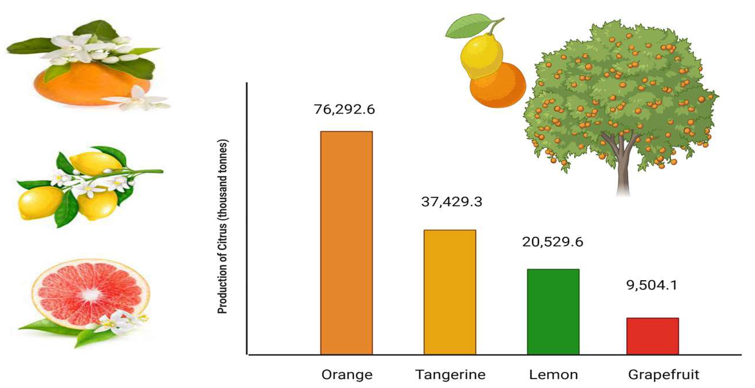 Engproc 48 00037 g001