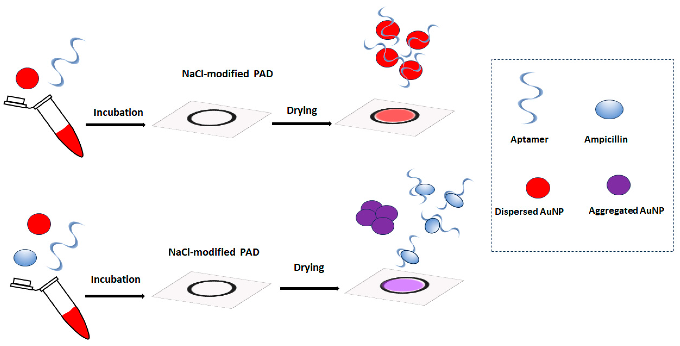 Engproc 48 00040 g001