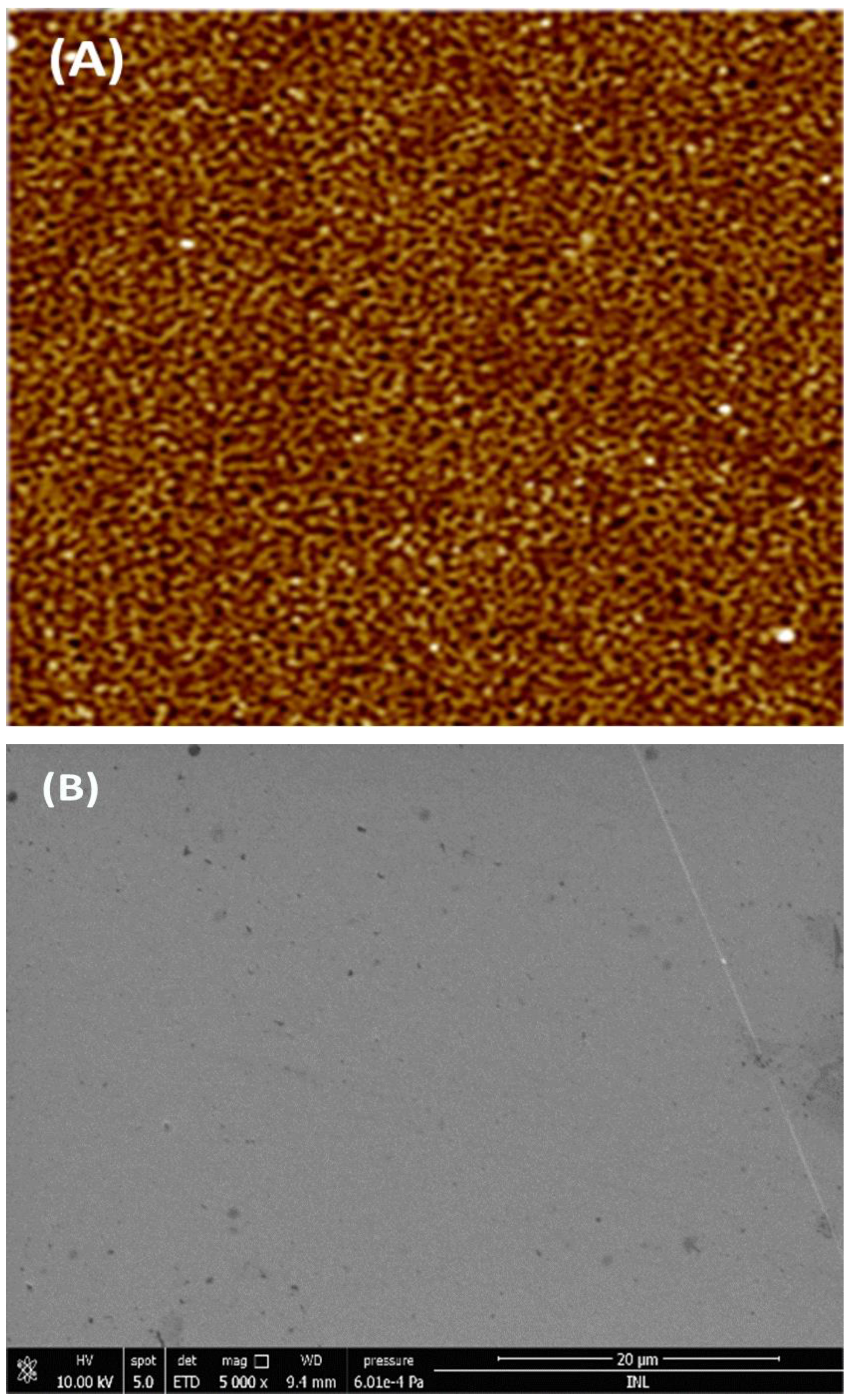 Engproc 48 00050 g002