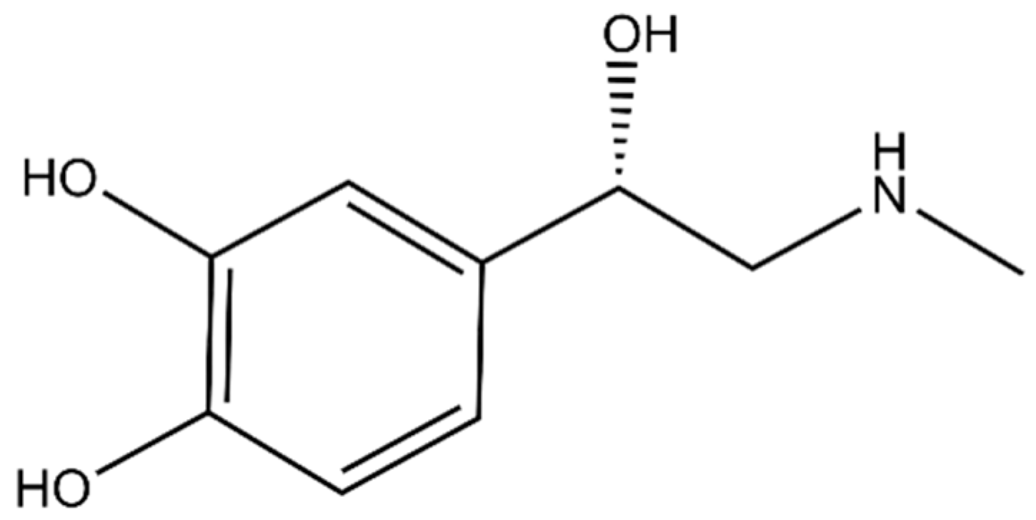 Engproc 48 00065 g001