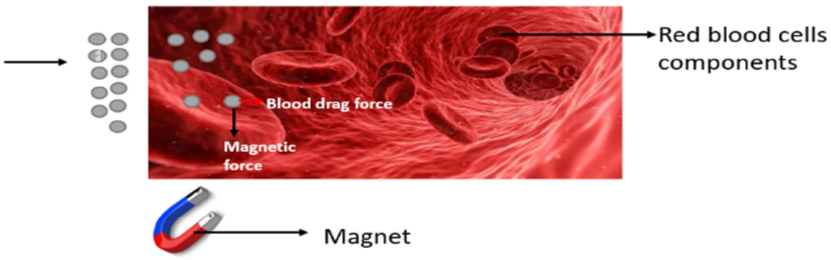 Engproc 50 00008 g001