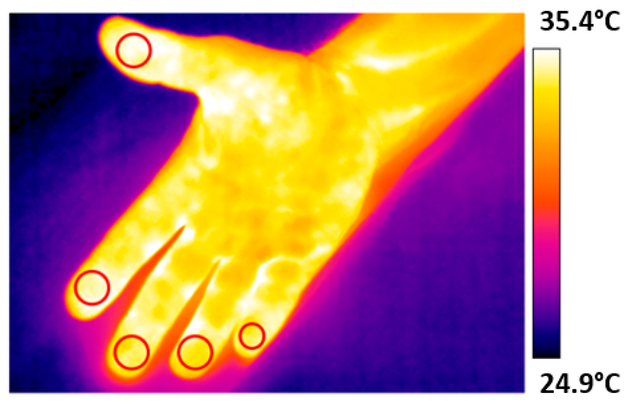 Engproc 51 00003 g001