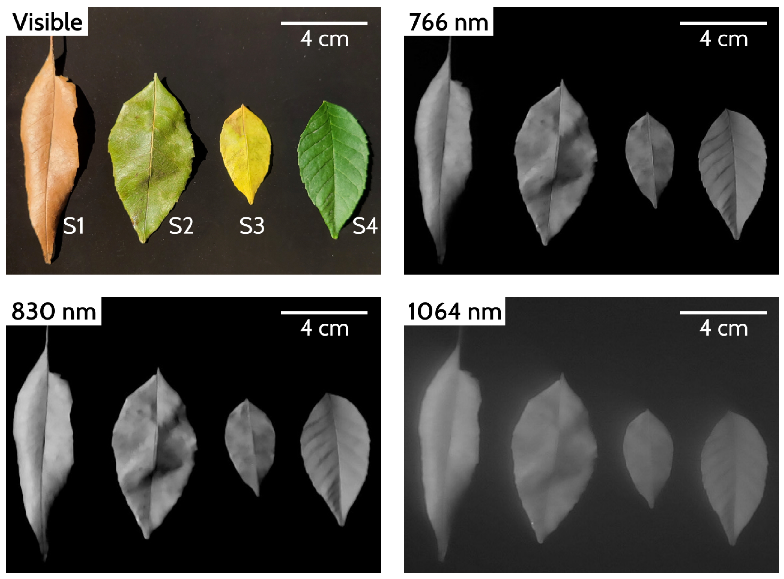 Engproc 51 00025 g005