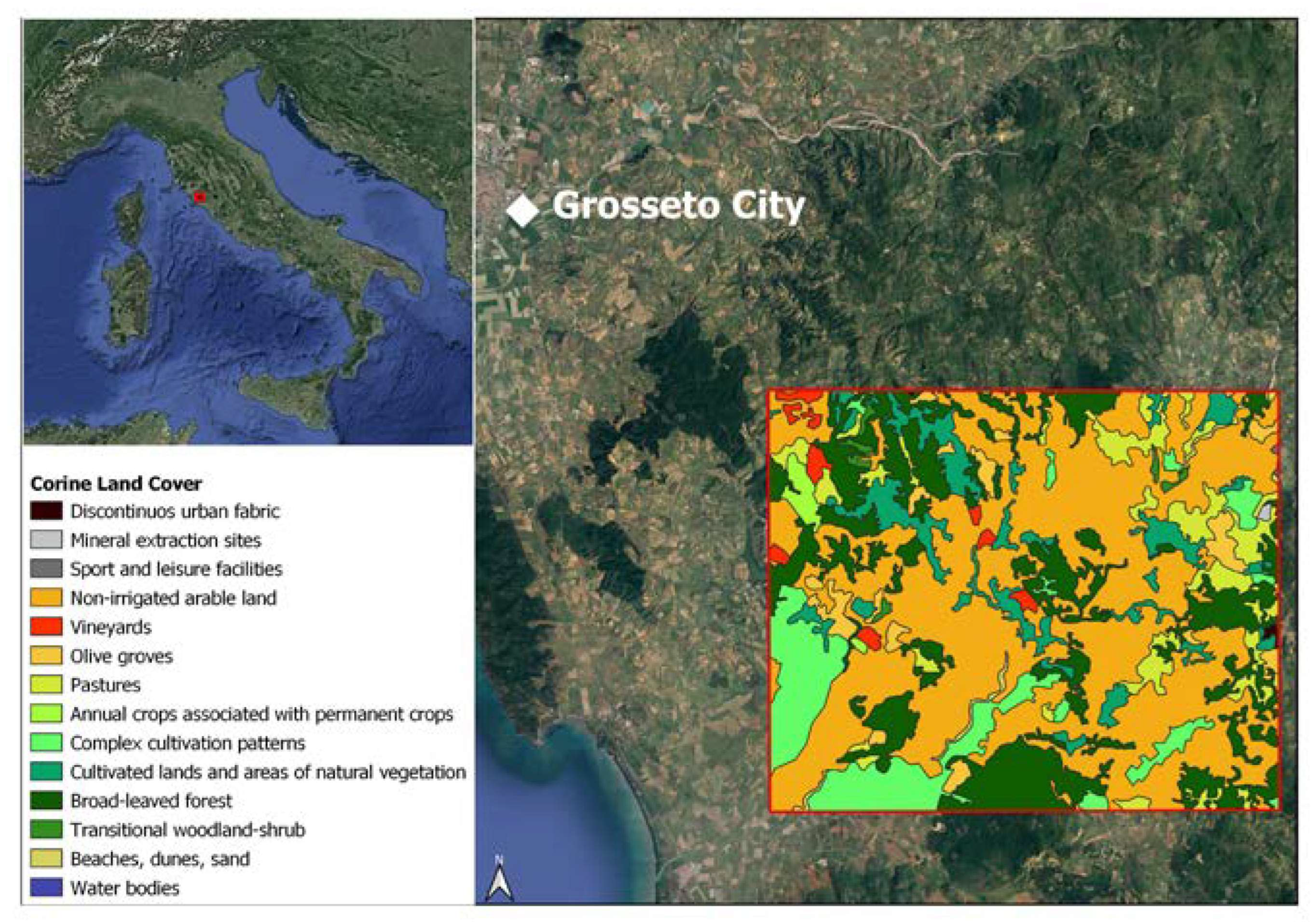 Engproc 51 00029 g001