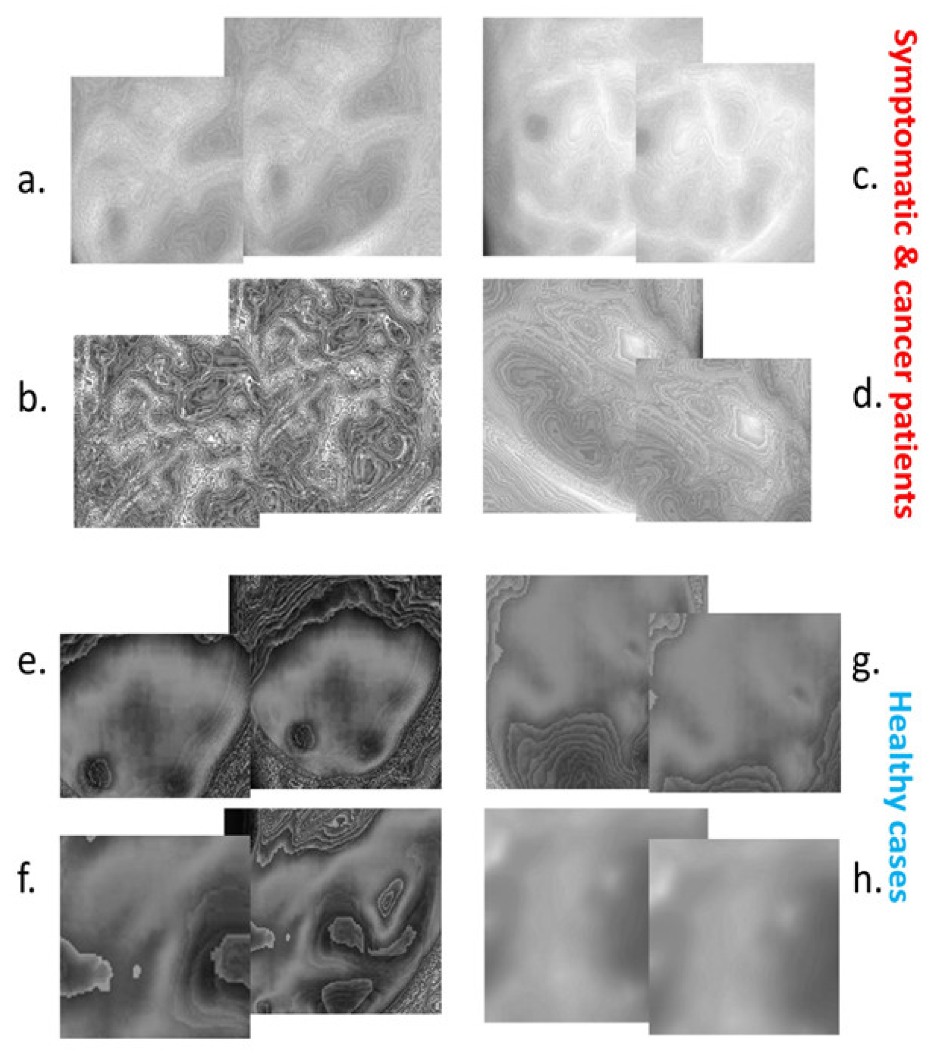 Engproc 51 00038 g001