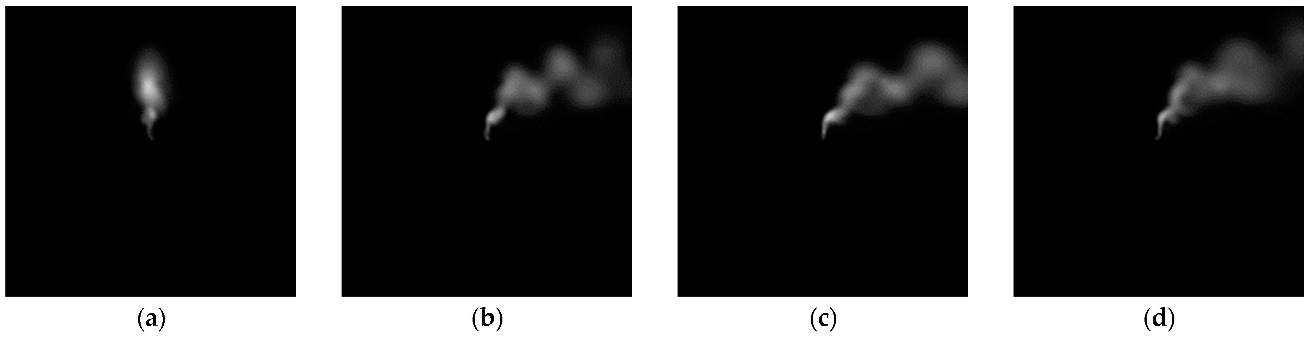 Engproc 51 00044 g002