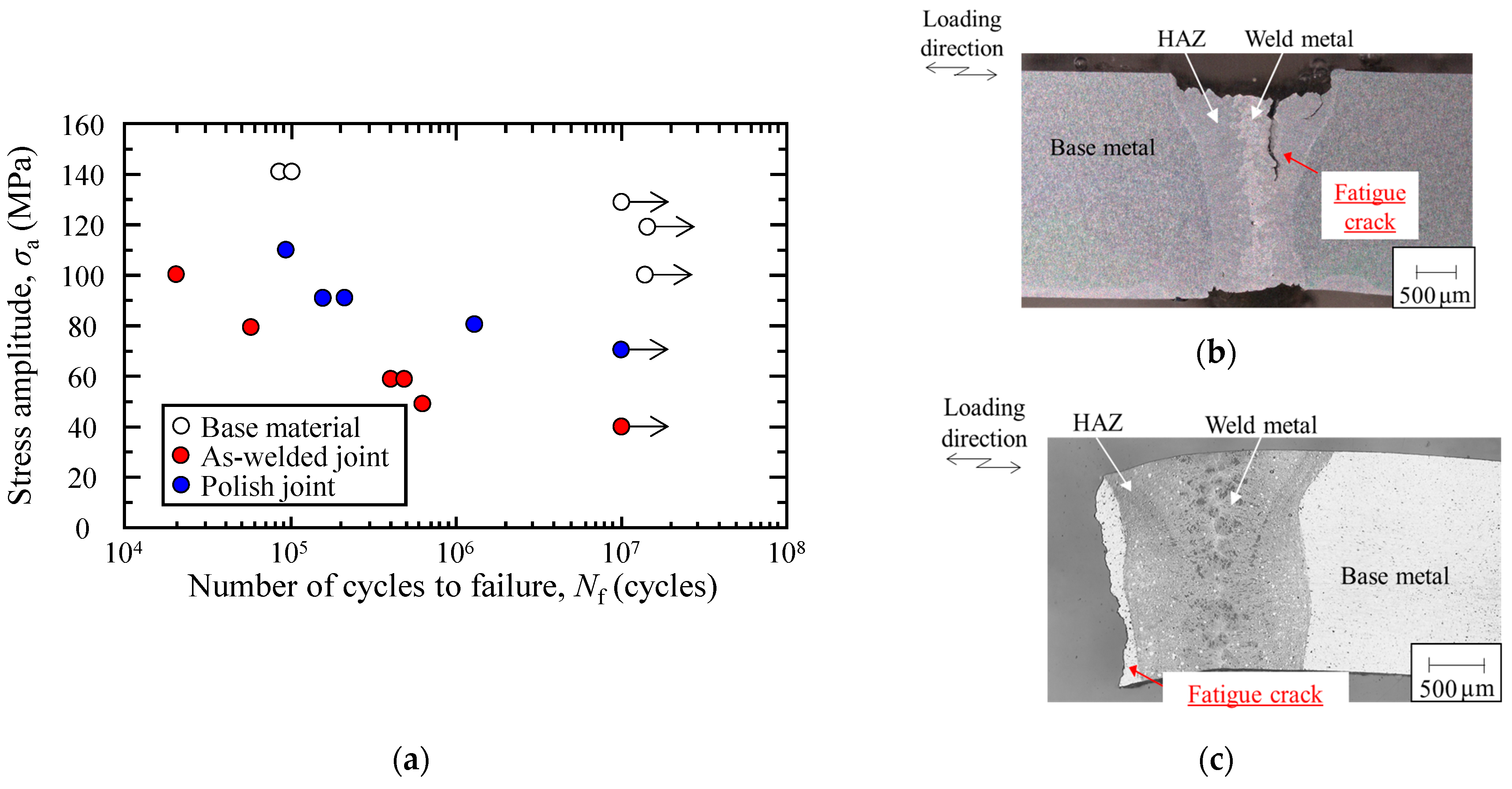Engproc 51 00047 g003