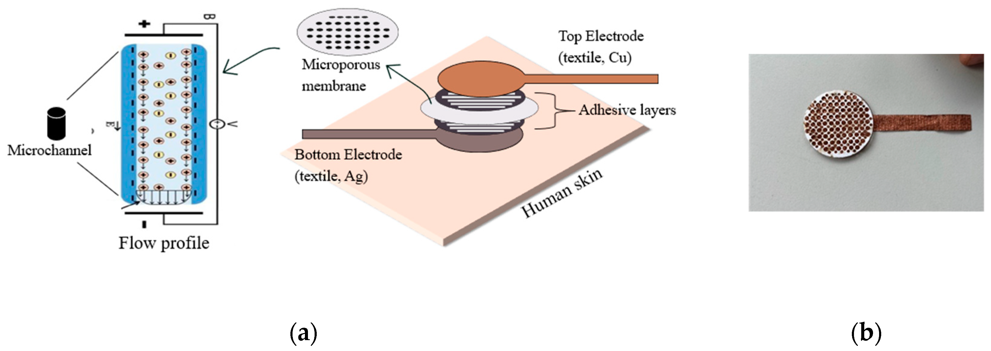 Engproc 52 00028 g001
