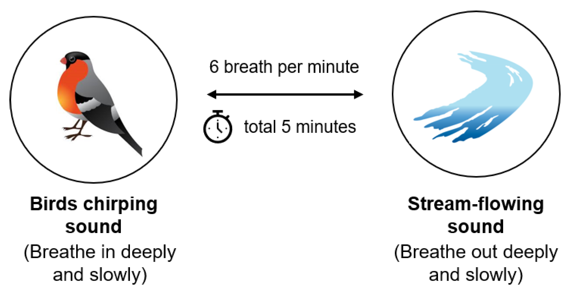 Engproc 55 00021 g002
