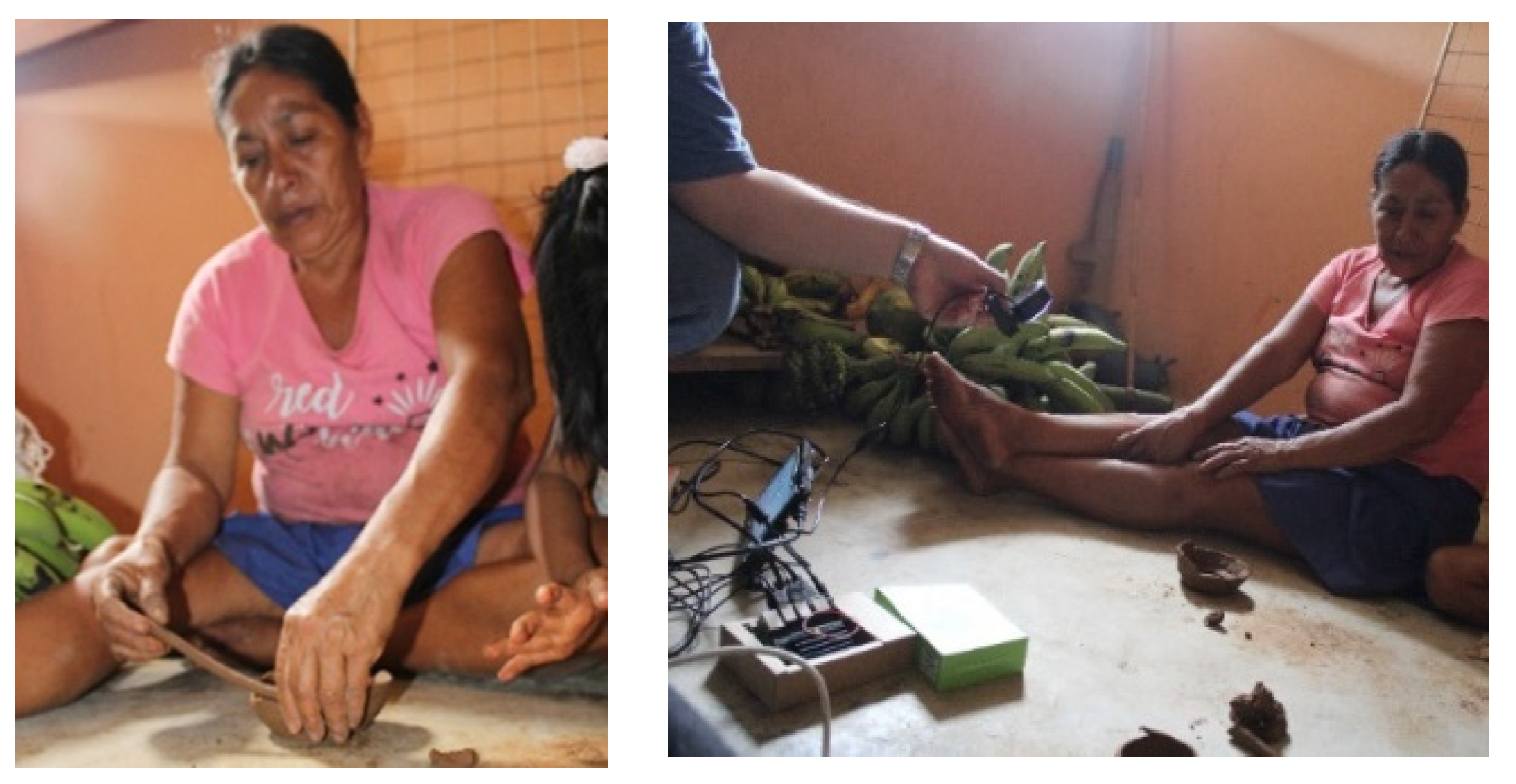 Engproc 55 00049 g006