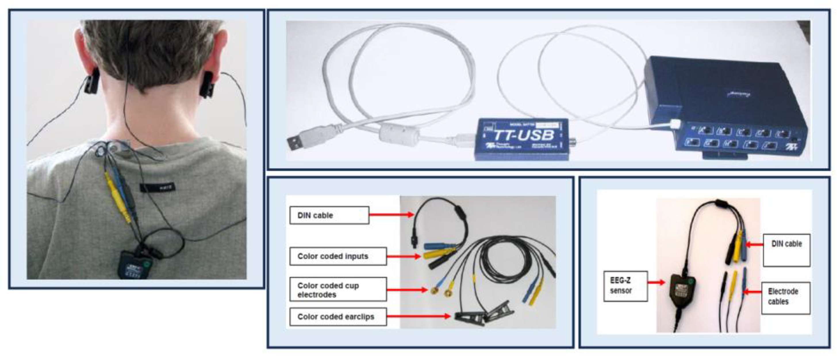 Engproc 55 00071 g001