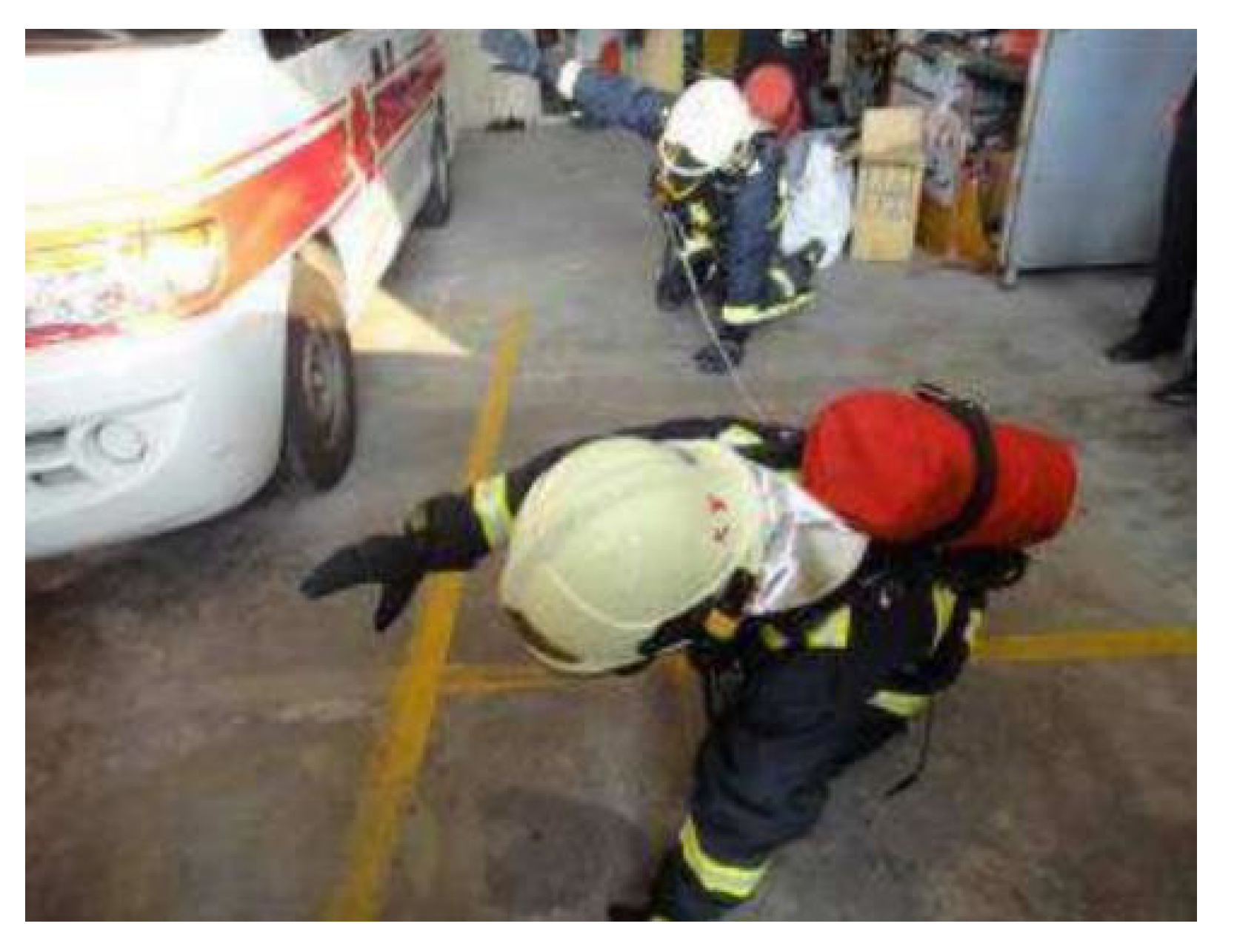 Engproc 55 00073 g010