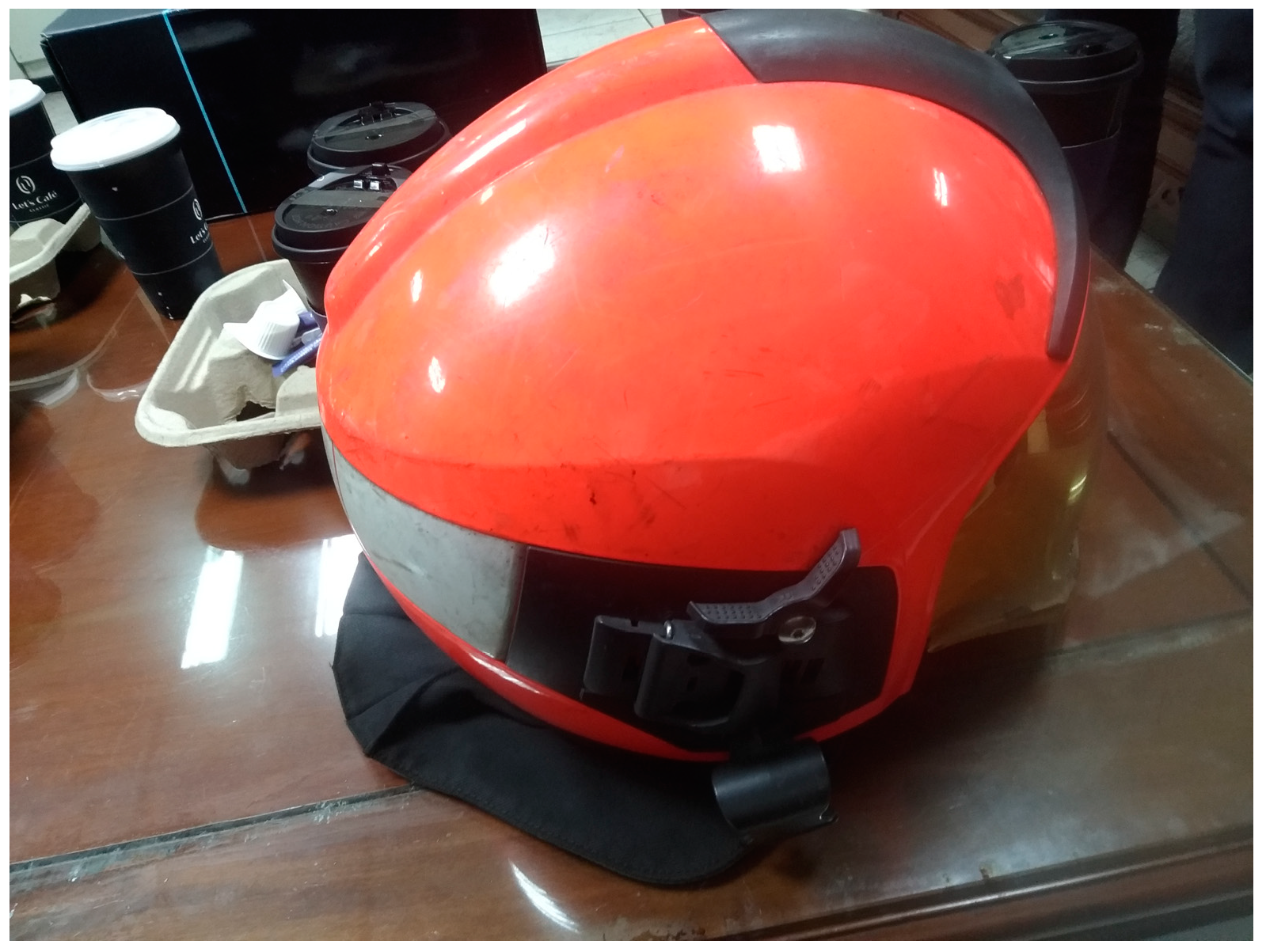 Engproc 55 00077 g005