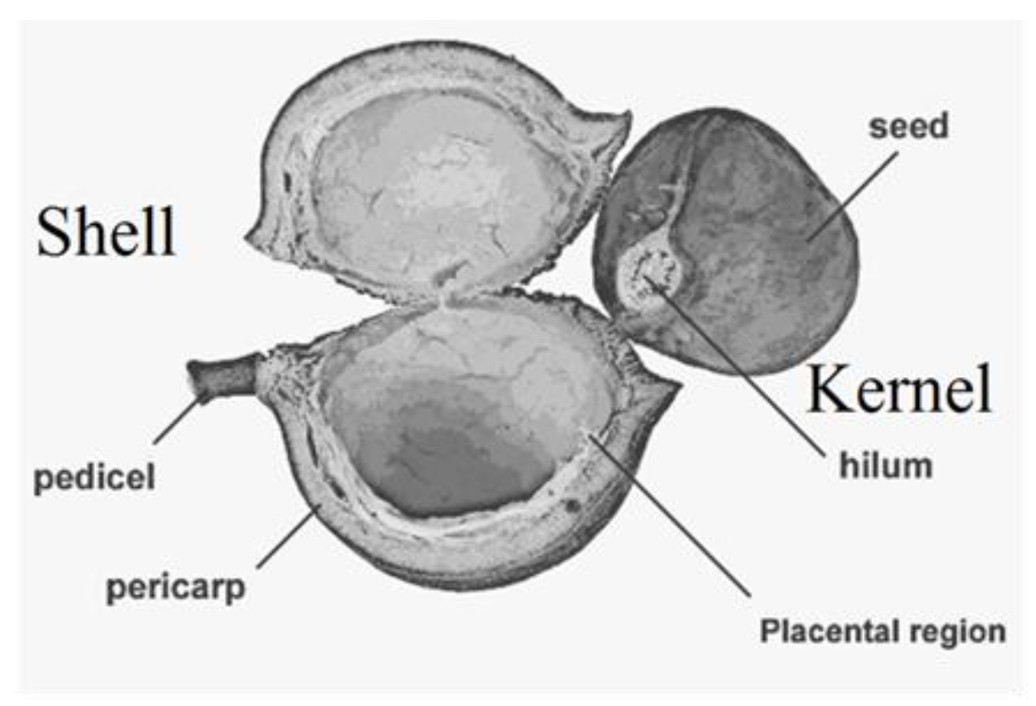 Engproc 56 00017 g001