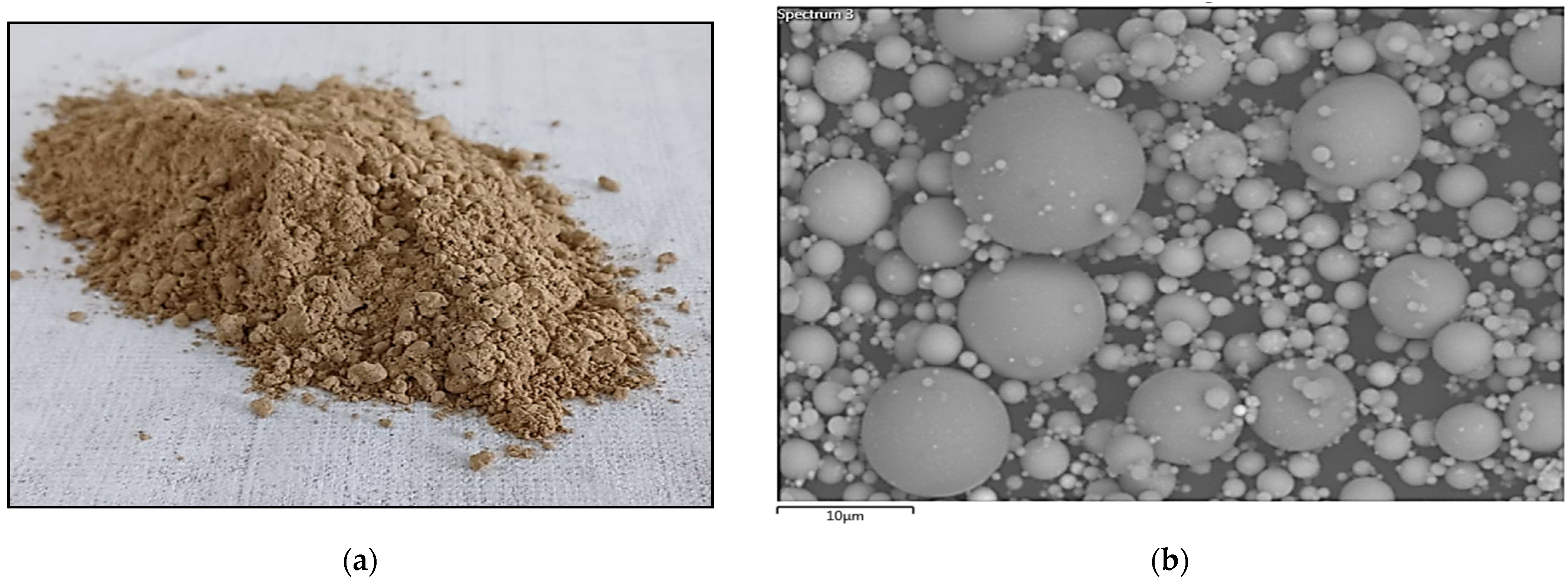 Engproc 56 00024 g001