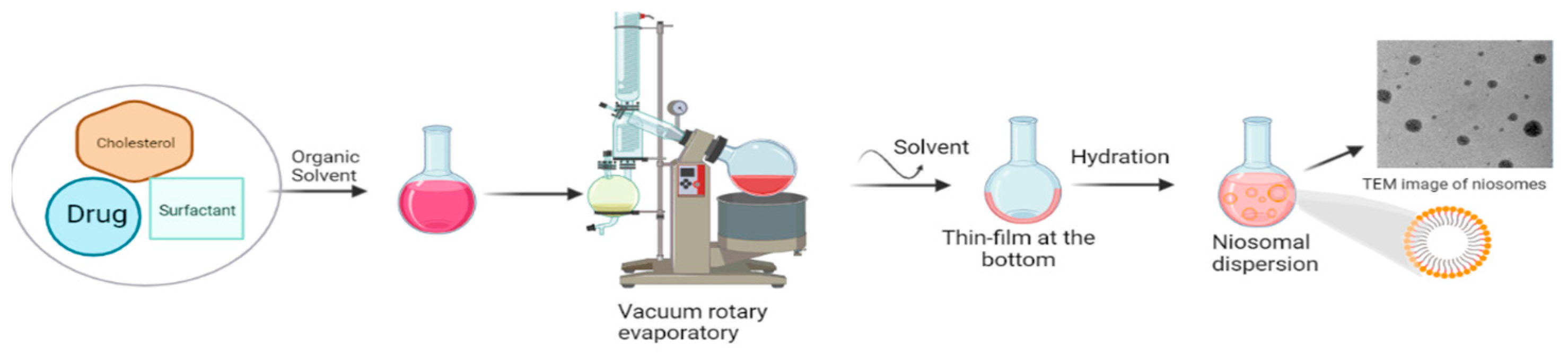 Engproc 56 00066 g001