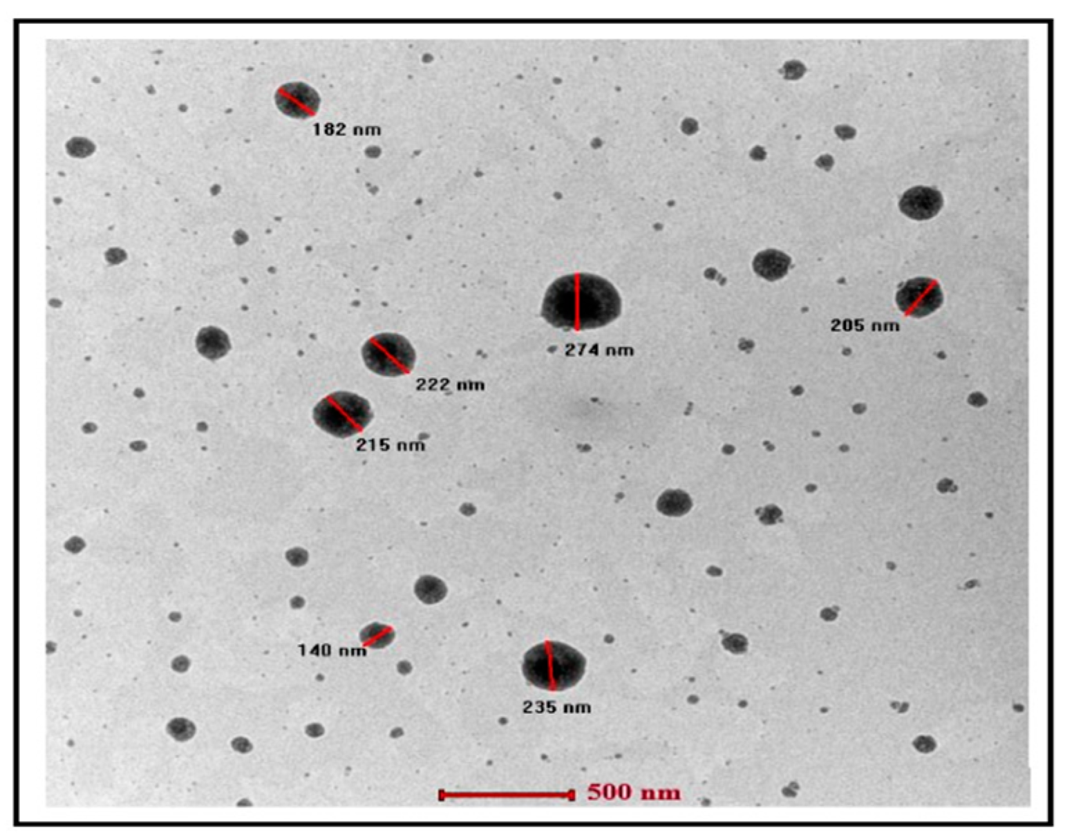 Engproc 56 00066 g003