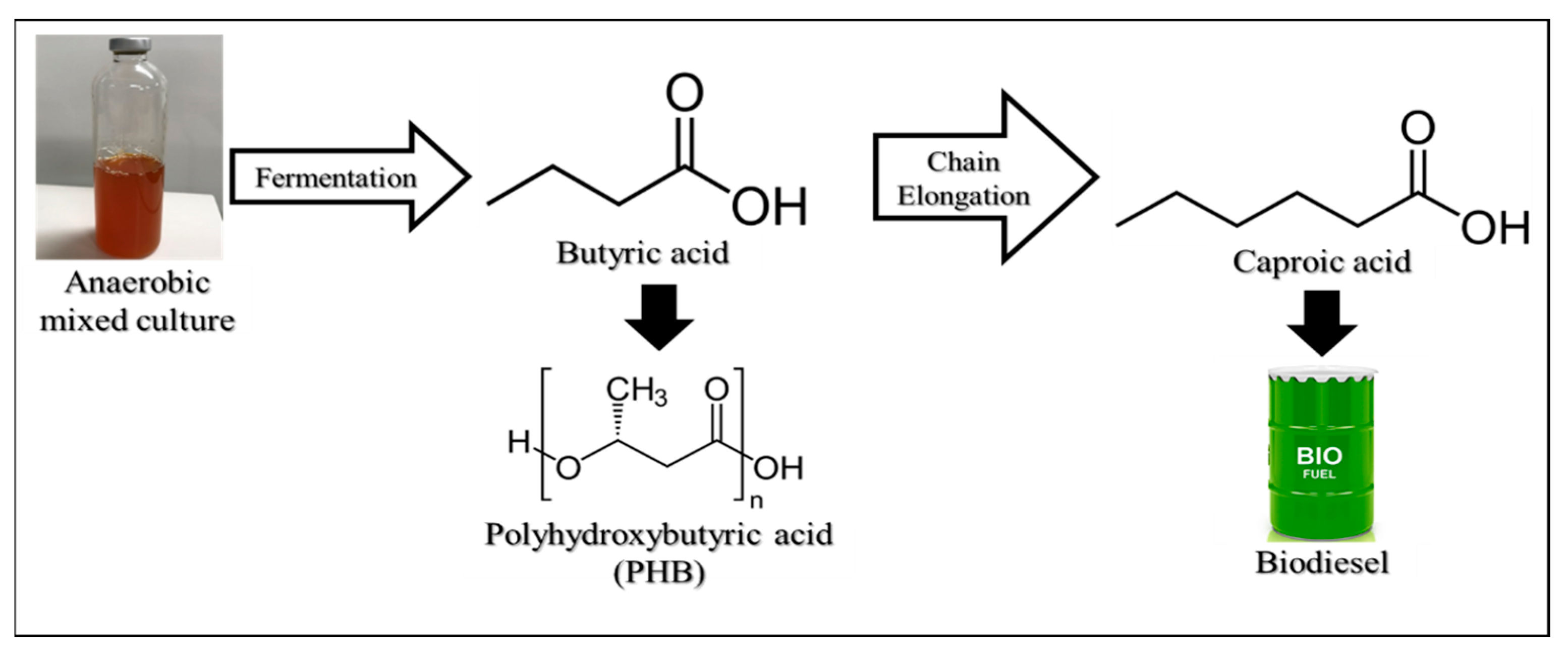 Engproc 56 00073 g001