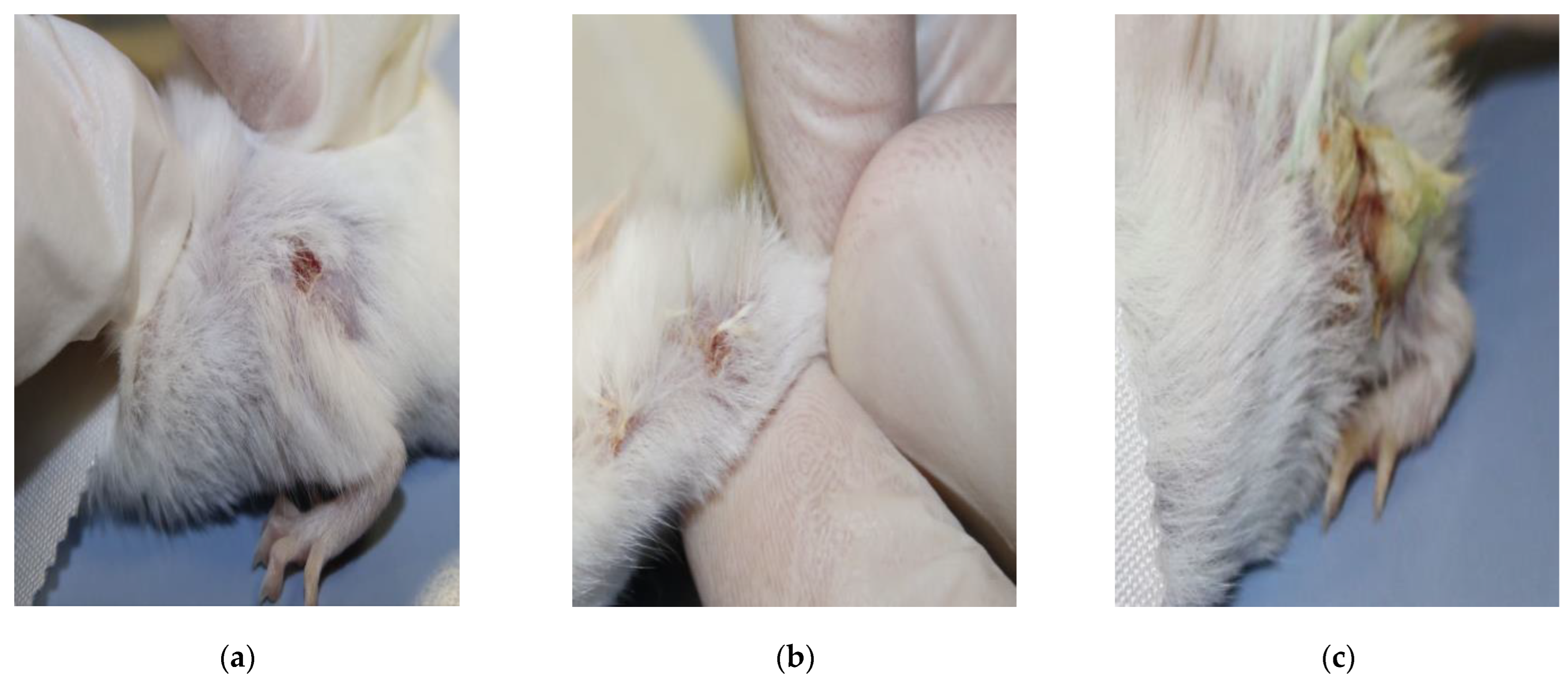 Engproc 56 00078 g002