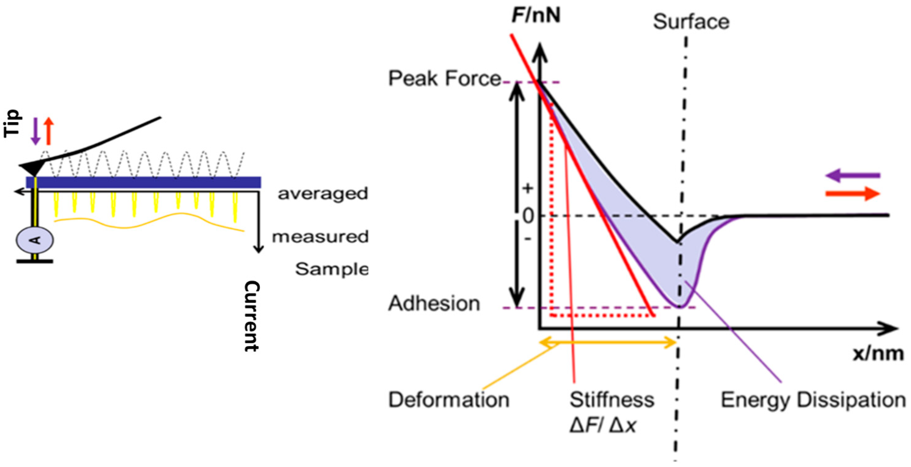 Engproc 56 00098 g002