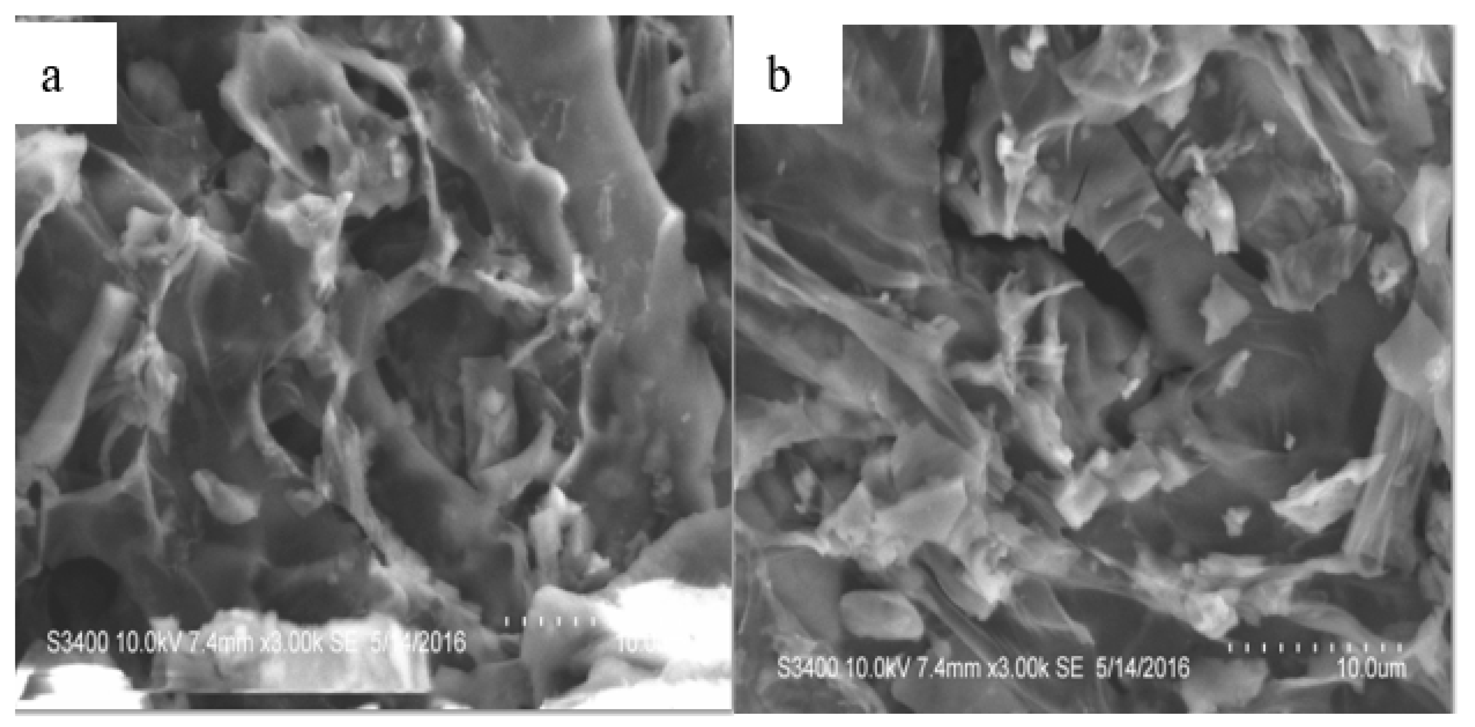 Engproc 56 00102 g002