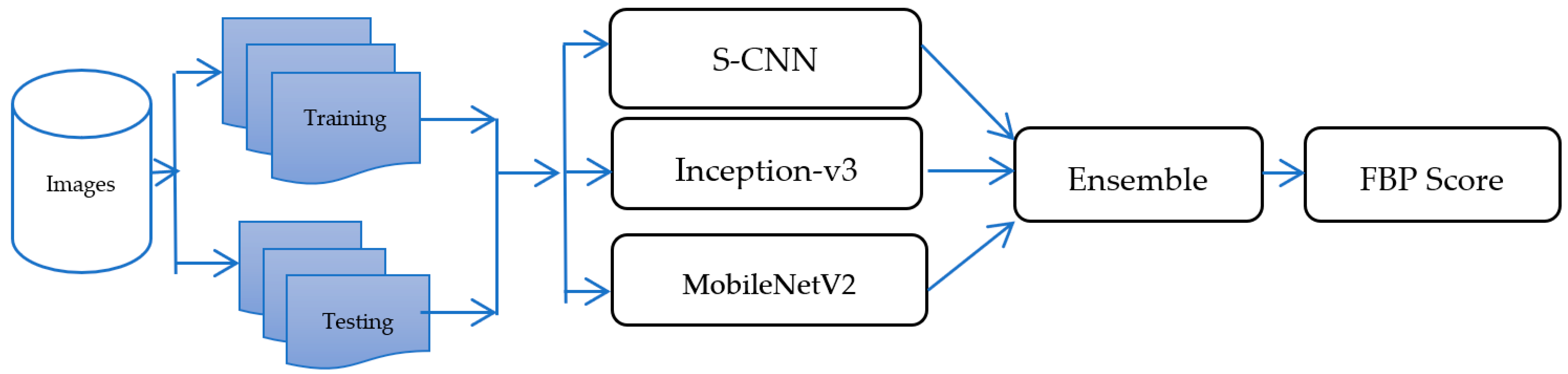 Engproc 56 00125 g002