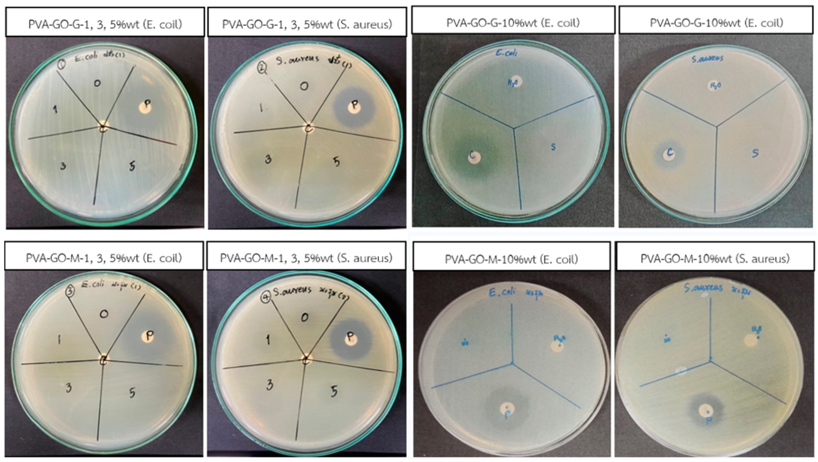 Engproc 56 00144 g002